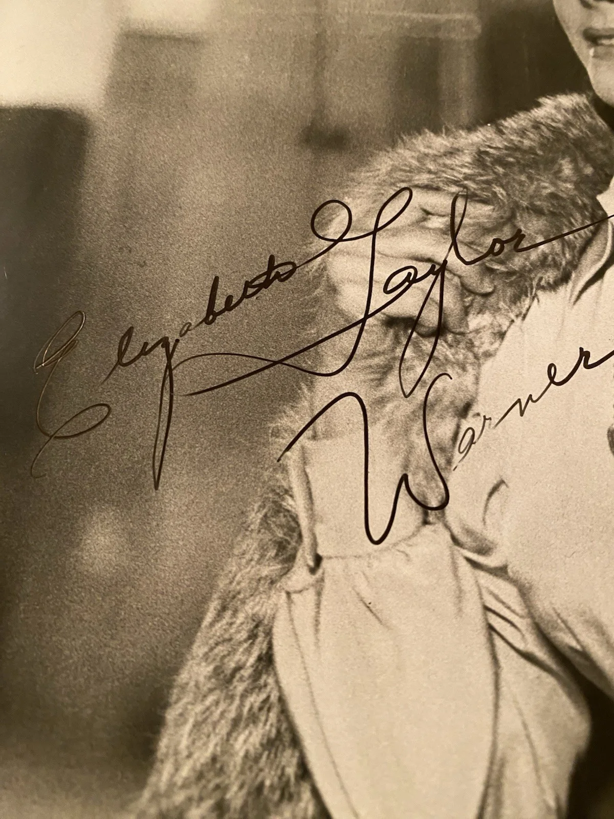Elizabeth Taylor — Elizabeth Taylor Signed Autographed 8x10 Photo With COA Ash Wednesday RARE, изображение 3