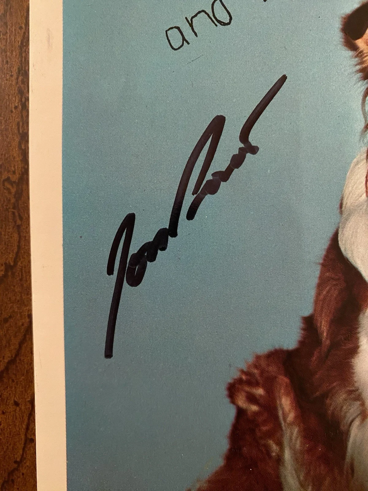 Jon Provost — Jon Provost Signed Autographed 8x10 Photo With COA Timmy Lassie, изображение 2
