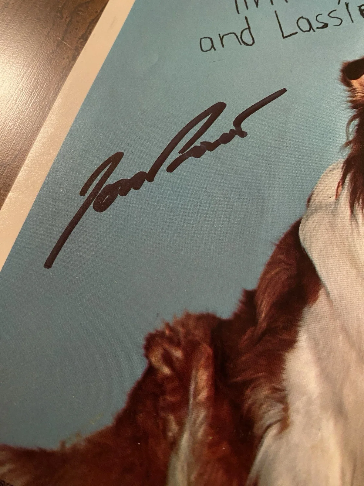 Jon Provost — Jon Provost Signed Autographed 8x10 Photo With COA Timmy Lassie, изображение 3