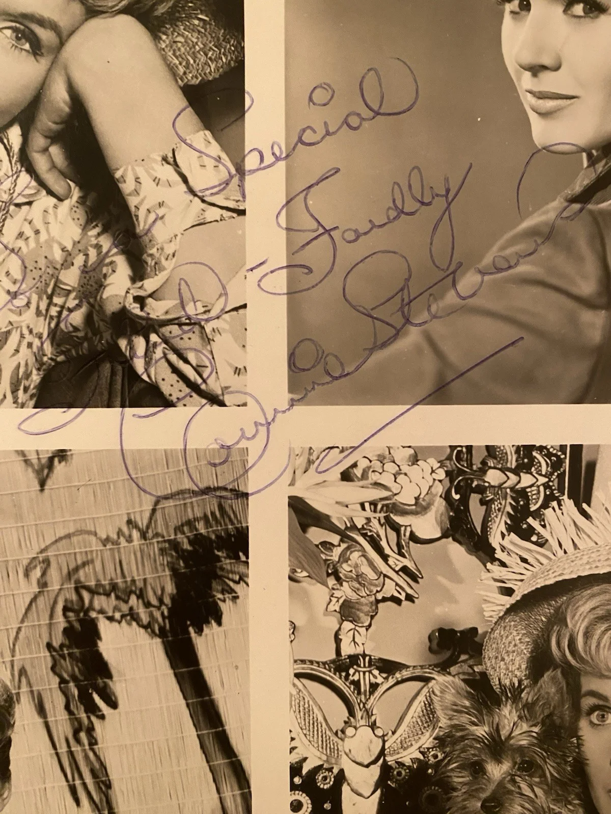 Connie Stevens — Connie Stevens Signed Autographed Photo With COA Hawaiian Eye 77 Sunset Strip, image 2