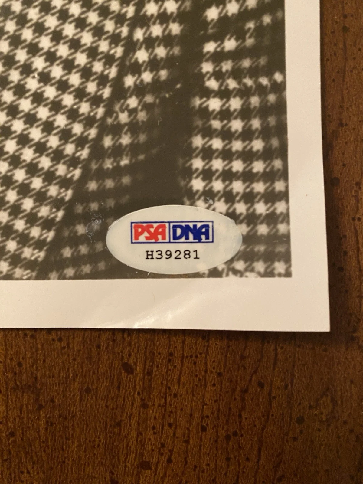Steve Allen — Steve Allen Signed Autographed Photo With PSA DNA COA The Tonight Show, image 5
