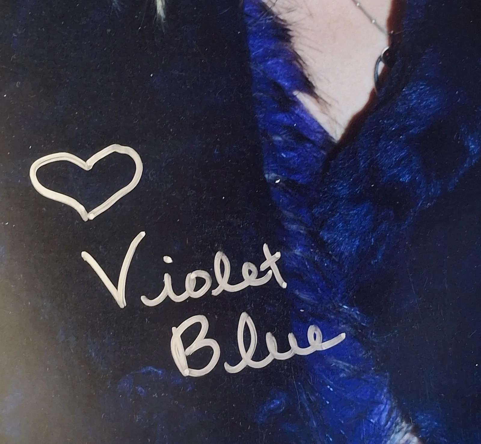 Violet Blue aka NONAME JANE Signed 8x12" PHOTO #3 - Cute Blonde, image 2