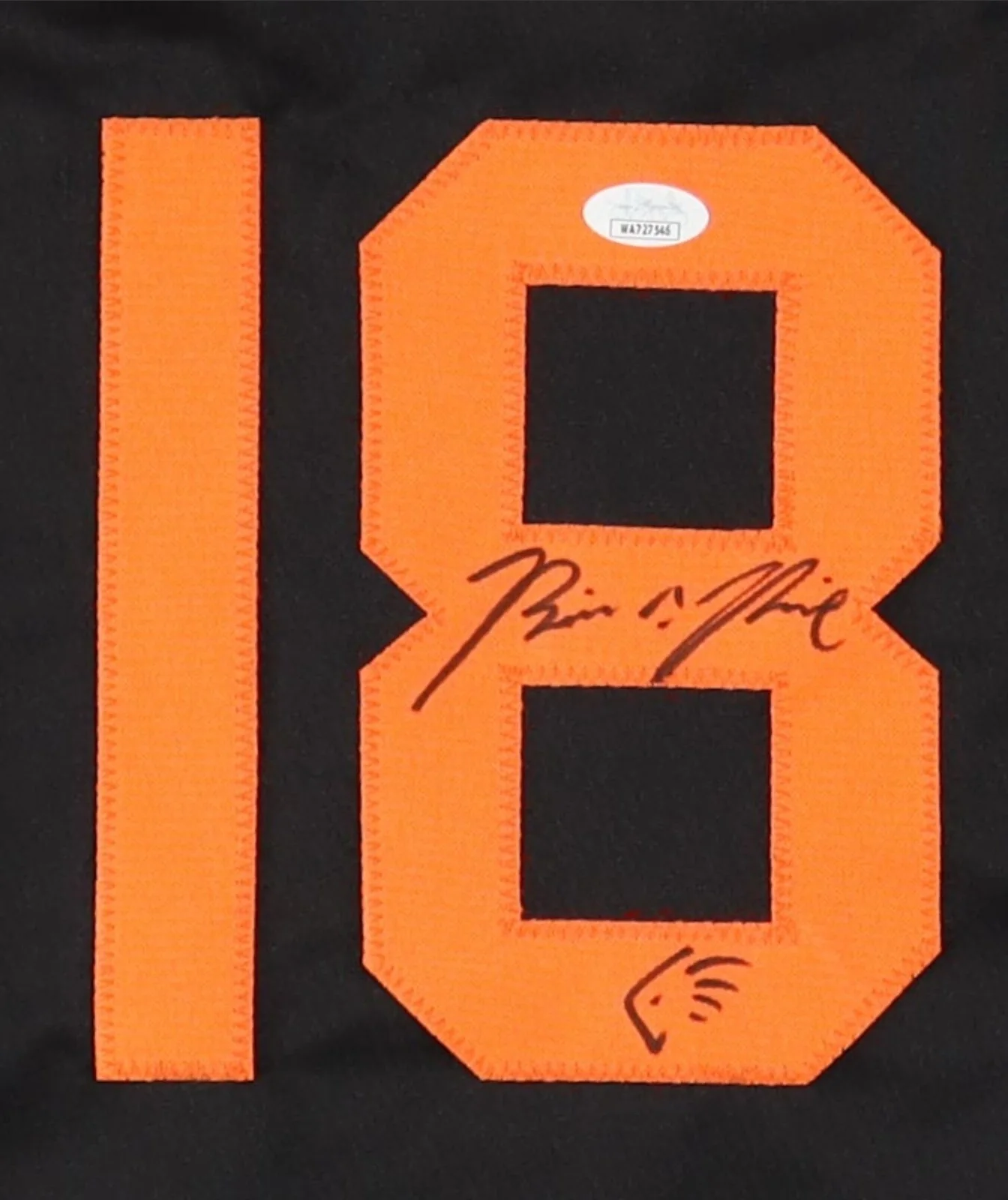 Brian A. Prince — THE PREDATOR Brian A. Prince Signed Custom XL Jersey JSA COA BUF, image 2