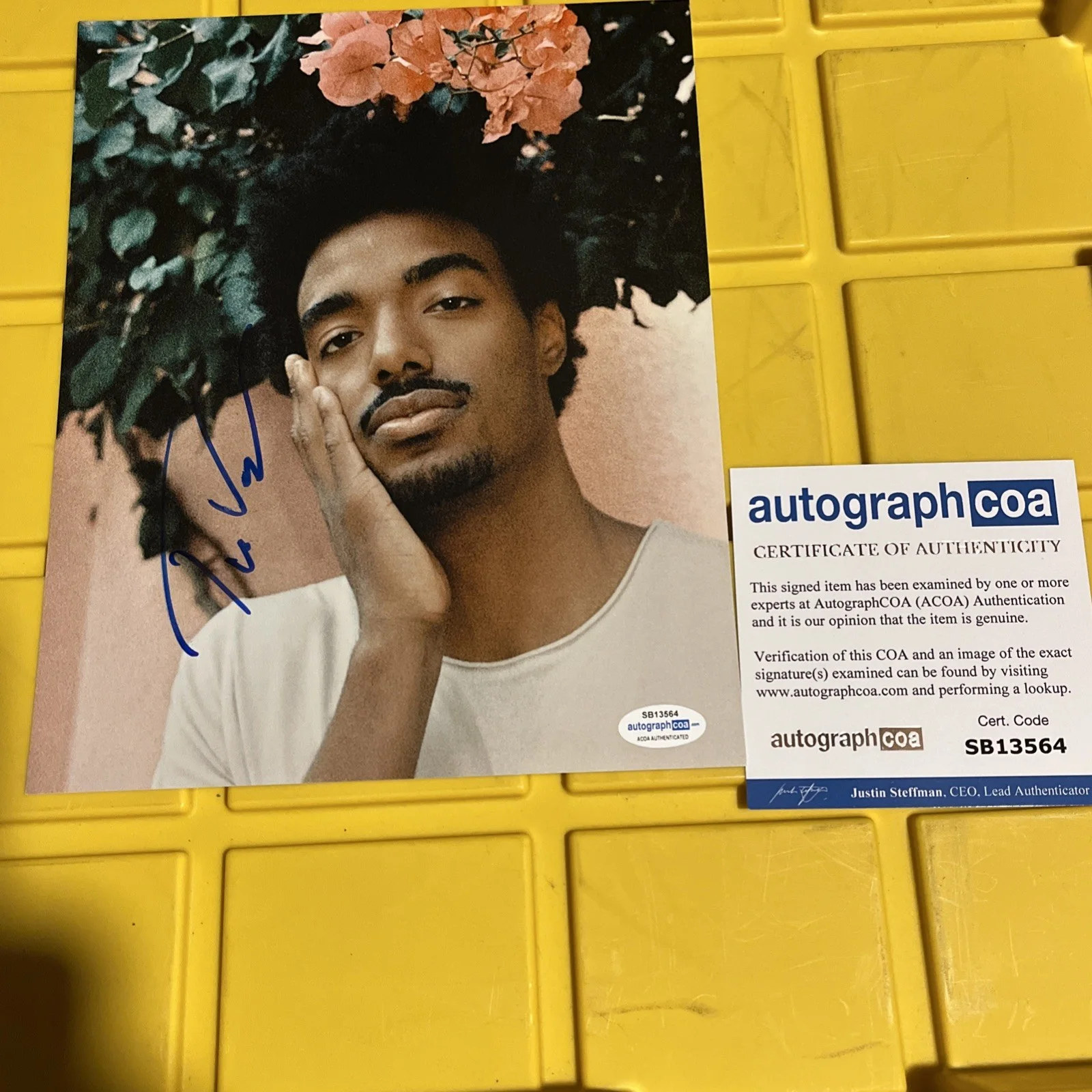 Tai Verdes signed photo 8x10 ACOA autographed A-OK Stuck In The Middle, изображение 4