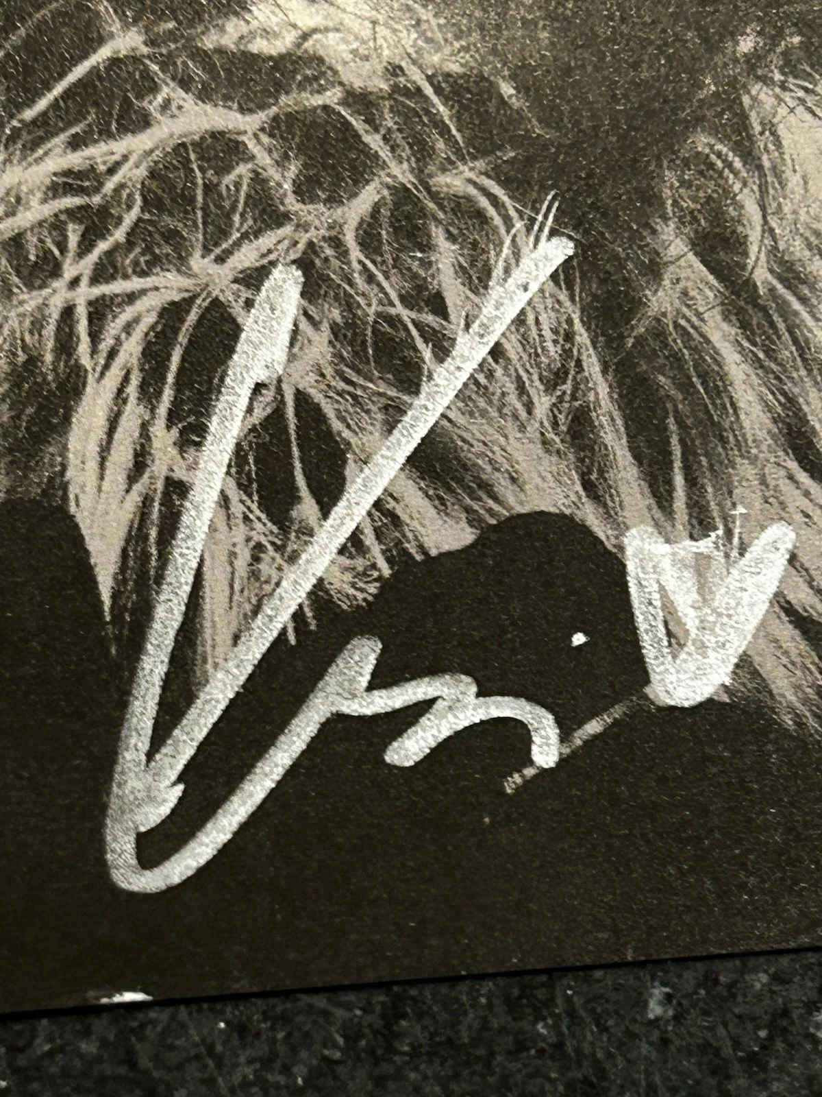 Keshi SIGNED Album Photo Picture Art Card ONLY!! NO CD, изображение 3