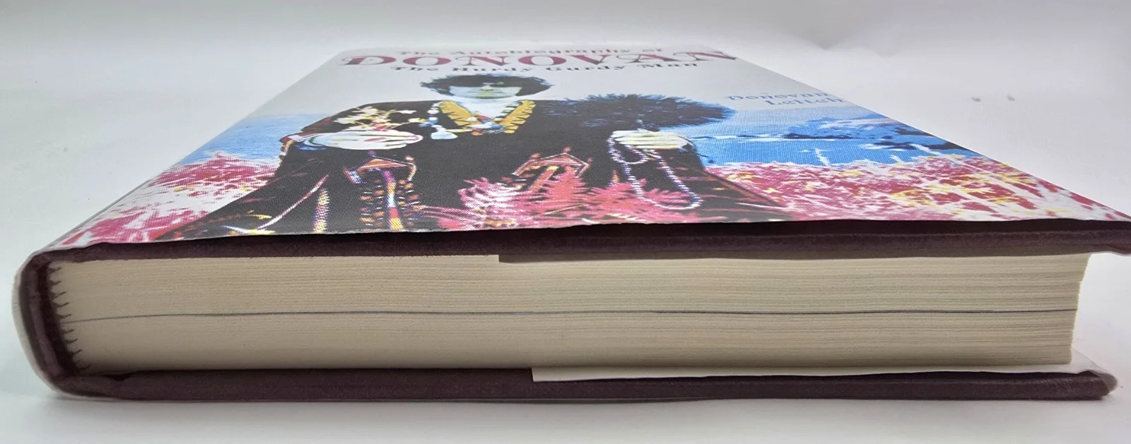 Signed Donovan The Hurdy Gurdy Man Hardcover 1990 DJ Autographed Copy, изображение 5