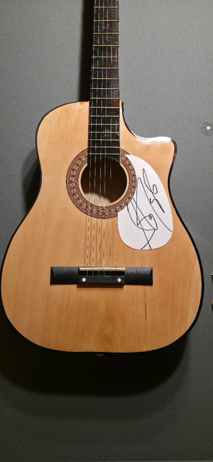 Steven Tyler Autographed Aerosmith Acoustic Guitar, In Person Experts COA, image 2