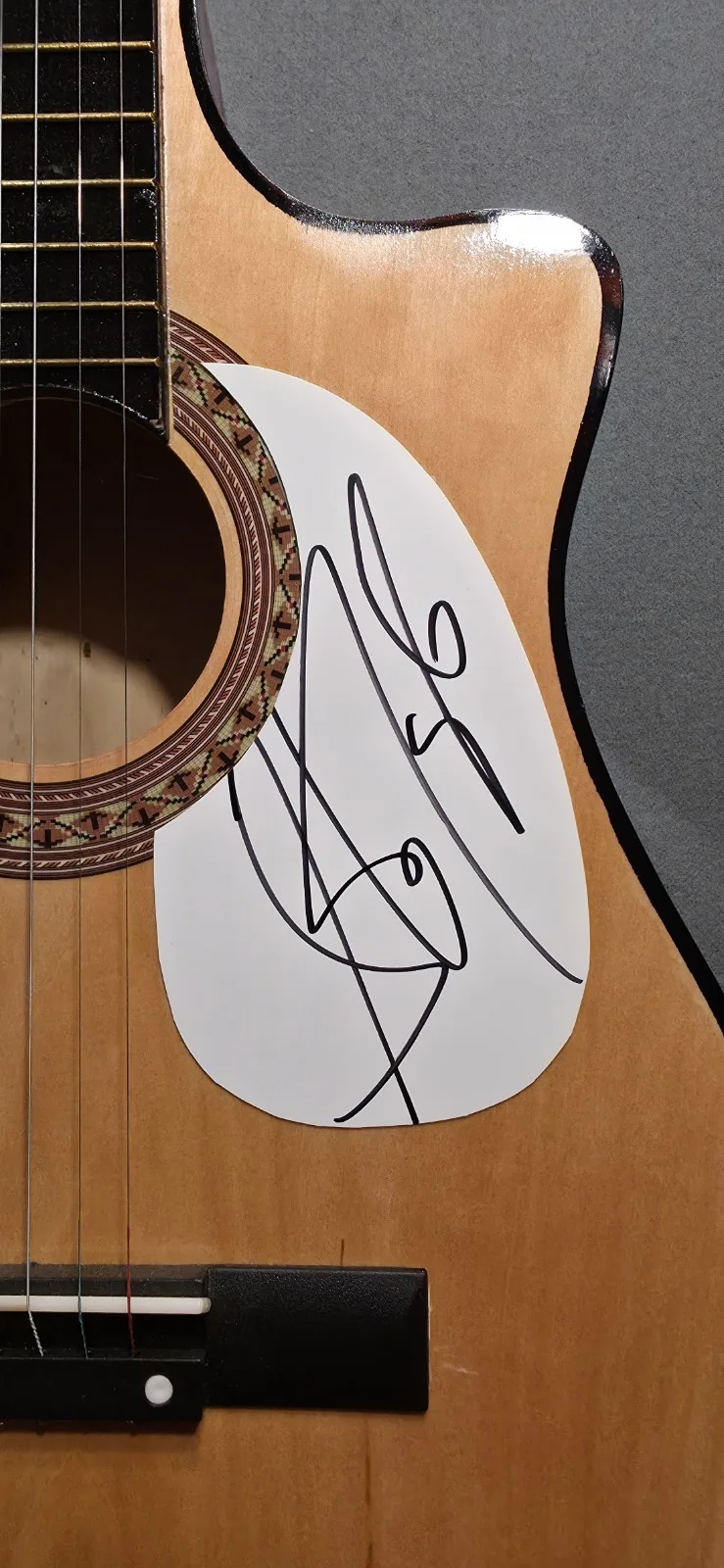 Steven Tyler Autographed Aerosmith Acoustic Guitar, In Person Experts COA, image 3