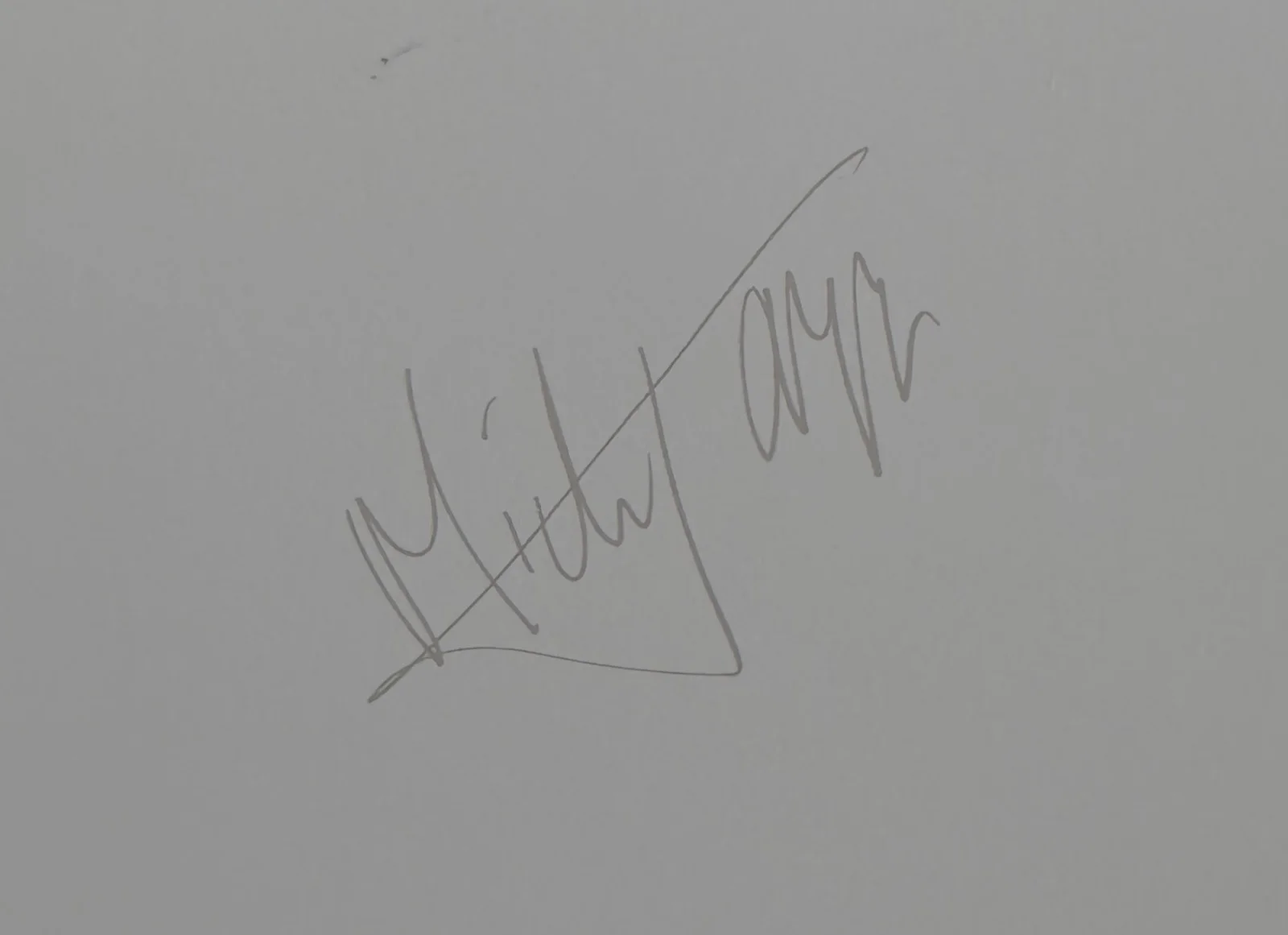 THE ROLLING STONES Black and Blue Litho/ Poster Plate Signed, image 5