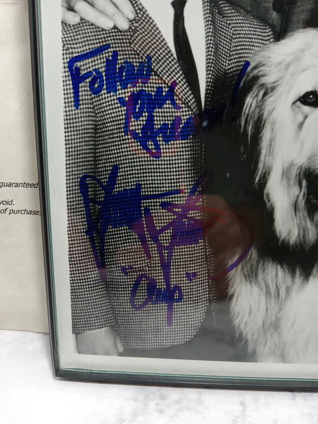 Stanley Livingston — My 3 sons Photo Signed by Stanley Livingston With certificate of authenticity, изображение 4
