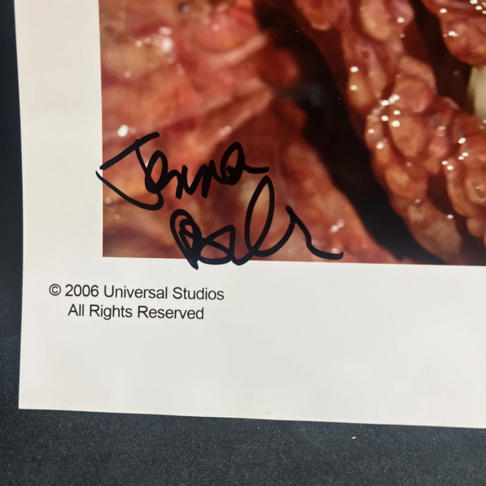 SLITHER James Gunn / Jenna Fischer +3 SIGNED Autograph 8x10 Color Photo, изображение 3