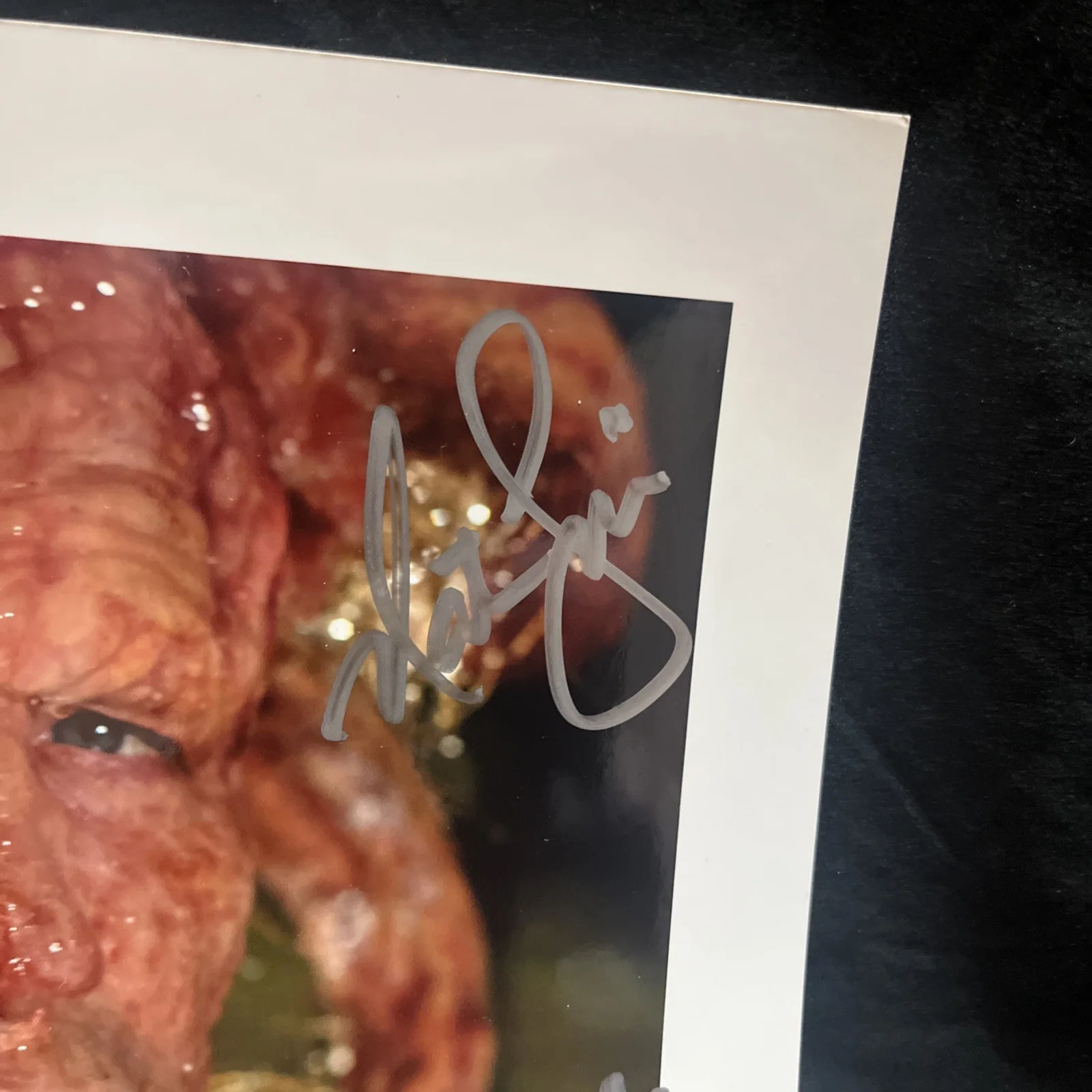 SLITHER James Gunn / Jenna Fischer +3 SIGNED Autograph 8x10 Color Photo, изображение 5