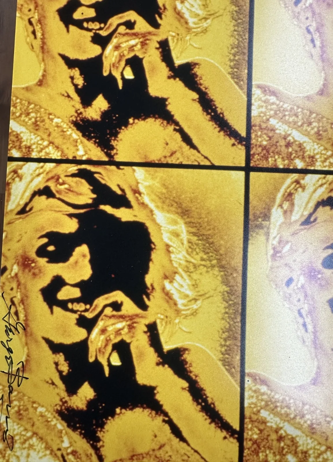George Barris — George Barris, Marilyn Monroe, hand signed, изображение 2