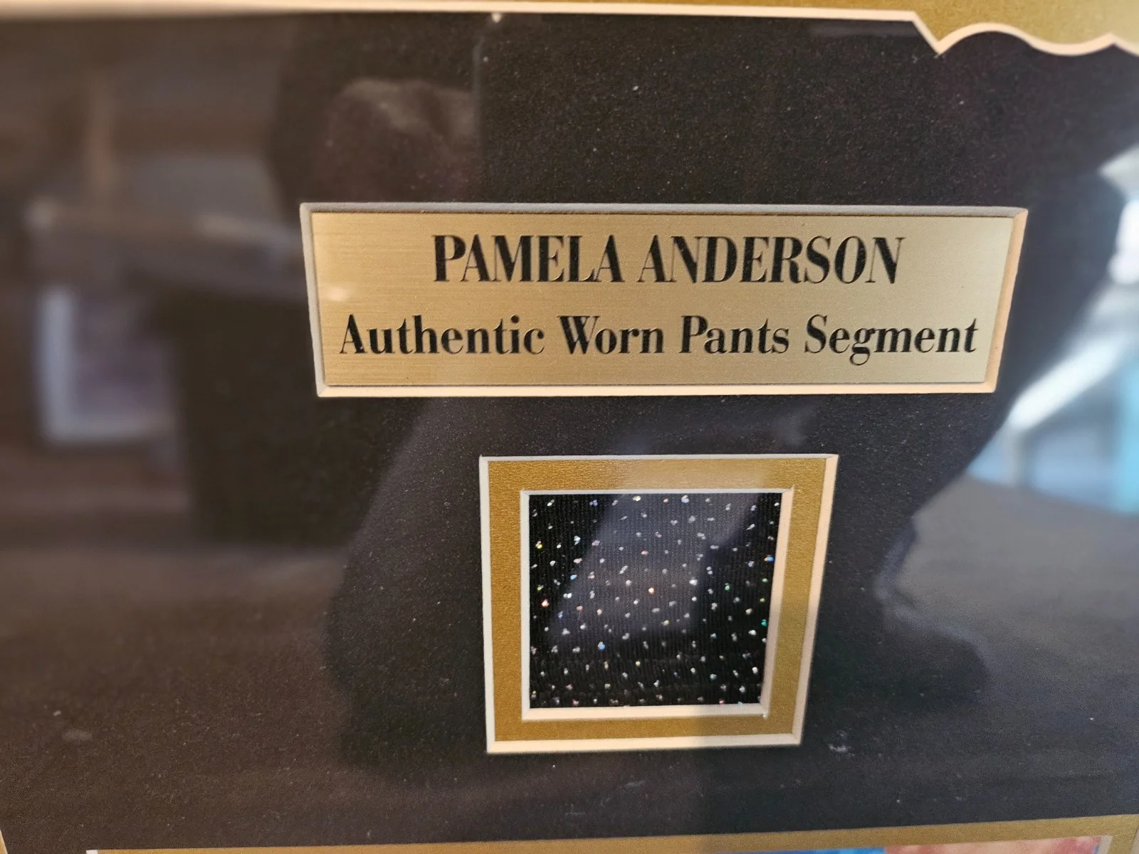 Pam Anderson Signed Photo Collection W/ Piece From V.I.P. Show W/ COA 23" x 26", изображение 3