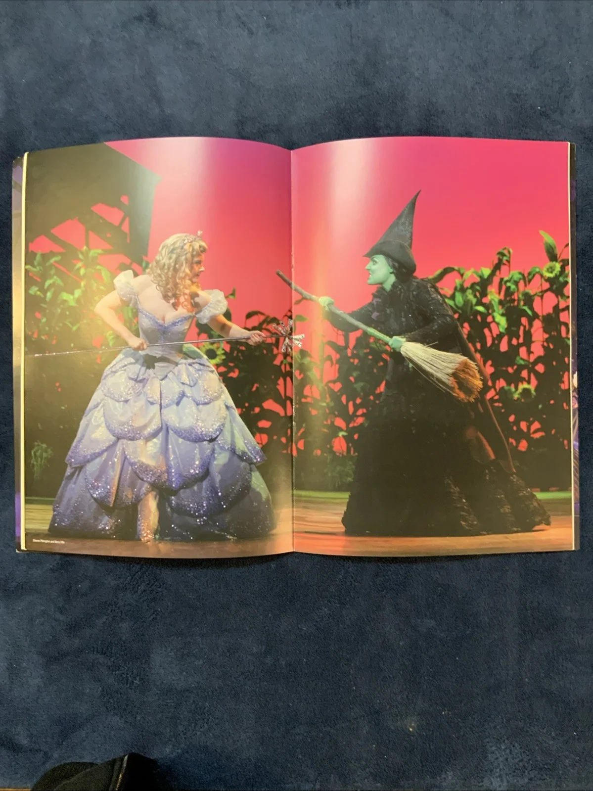 WICKED MUSICAL SIGNED AUTOGRAPHED PROGRAM TICKET STUB THEATER ROYAL DRURY LANE, image 5