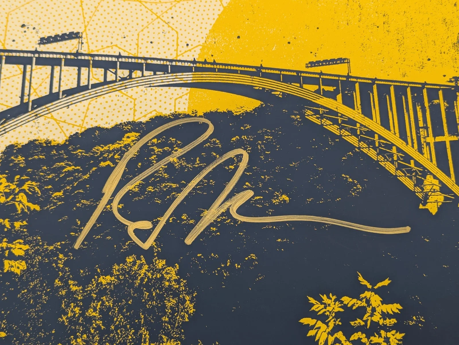 2016 Ray LaMontagne AUTOGRAPHED Lewiston NY Artpark Concert Poster, изображение 4