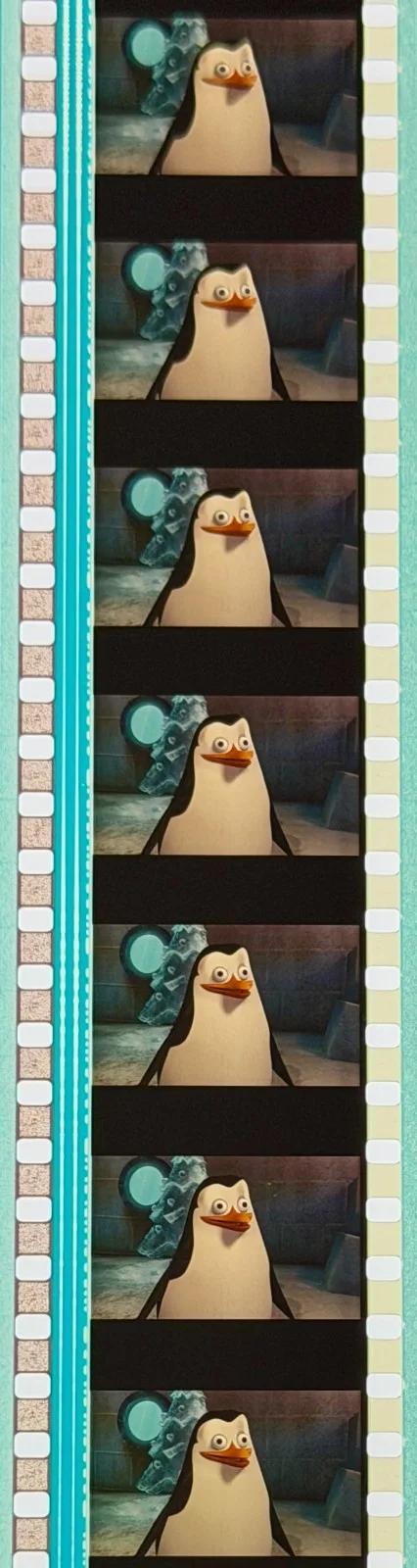 Madagascar 2005 Very Rare Unmounted 35mm Film Cells, image 3