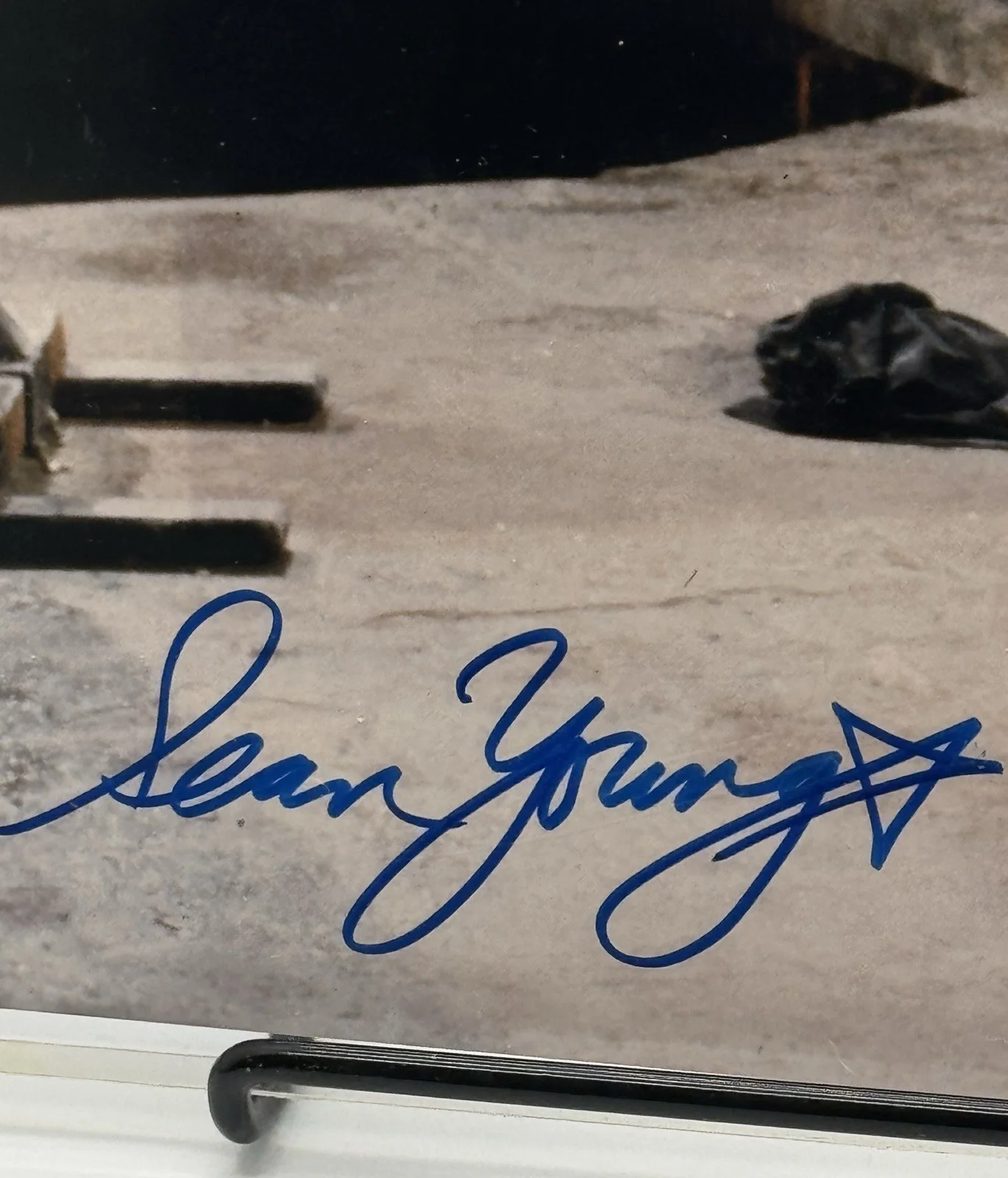 Sean Young Signed 8x10 JSA CK34181, image 2