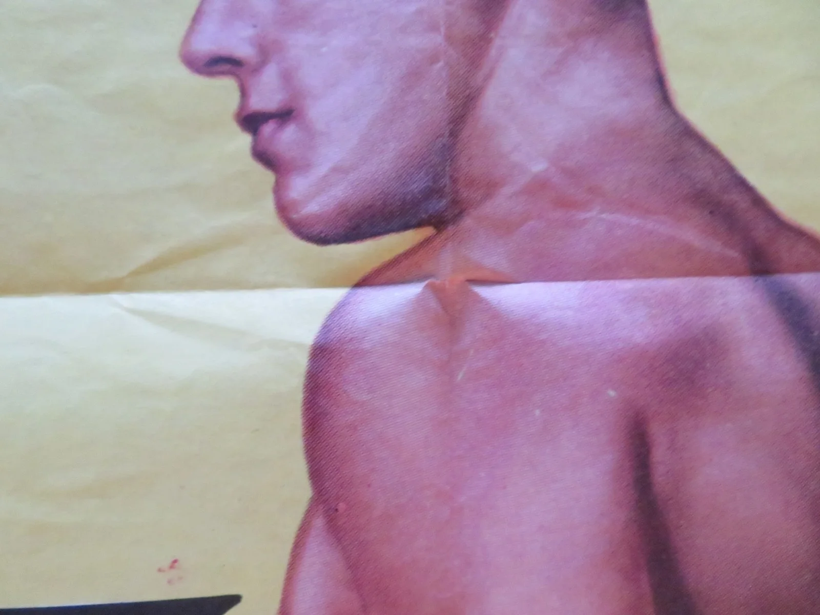 RETURN TO TREASURE ISLAND FOLDED US ONE SHEET POSTER TAB HUNTER DAWN ADDAMS 1954, image 3