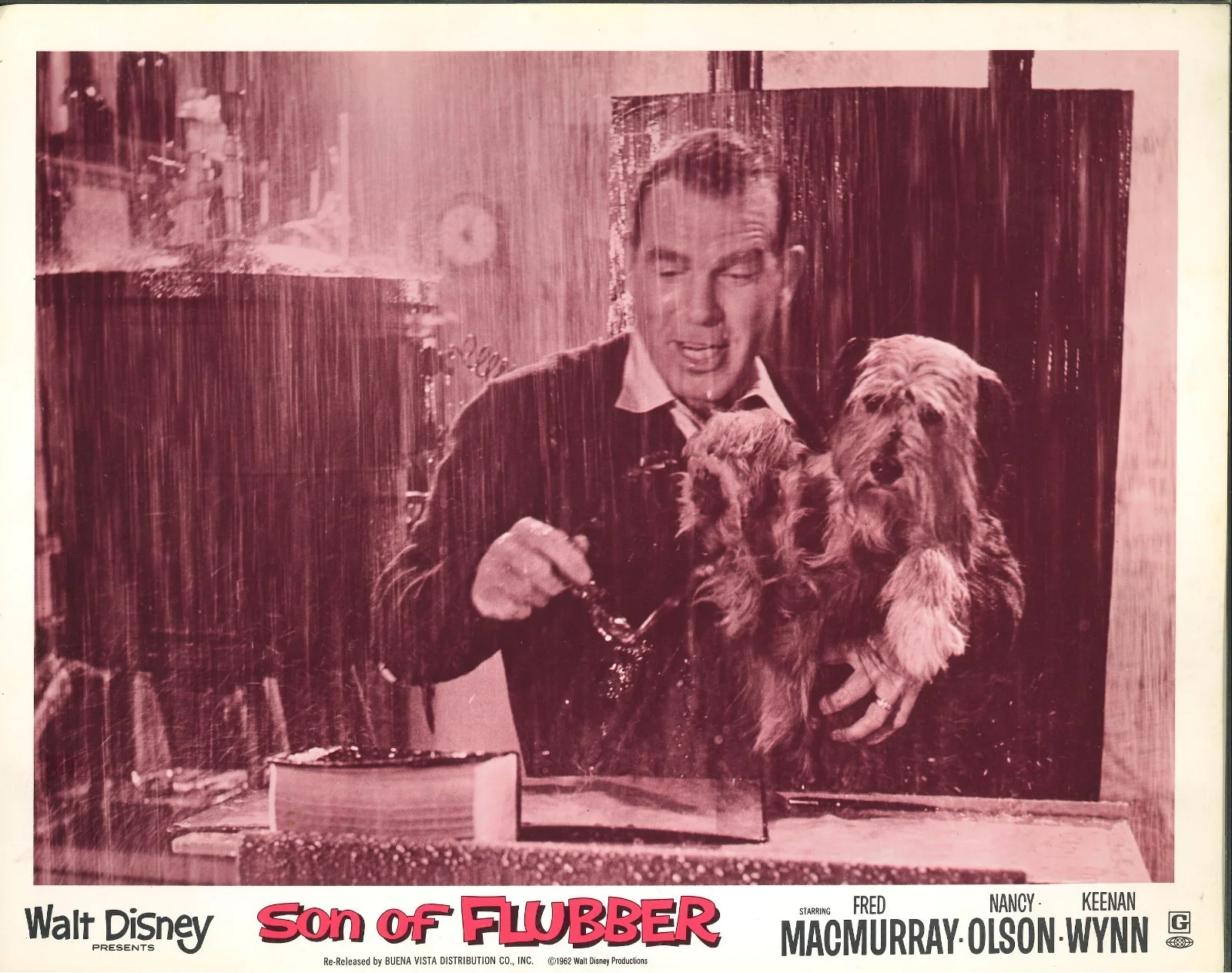 Son of Flubber 7x ORIGINAL US Lobby Cards Fred MacMurray Disney RR, image 2
