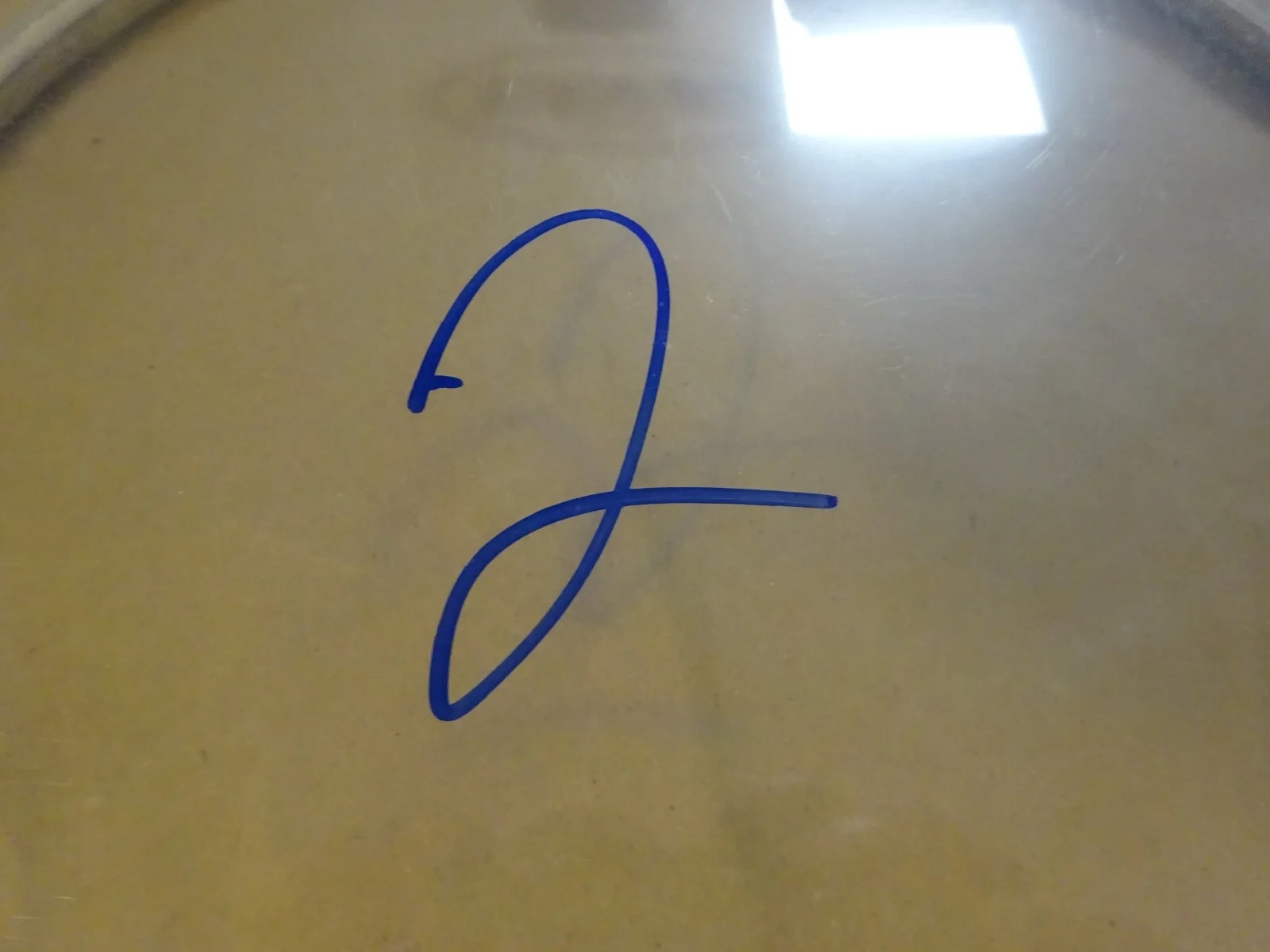 Autographed Taylor Hawkins Signed 10" Drum Head Foo Fighters Beckett BAS COA RIP, изображение 3