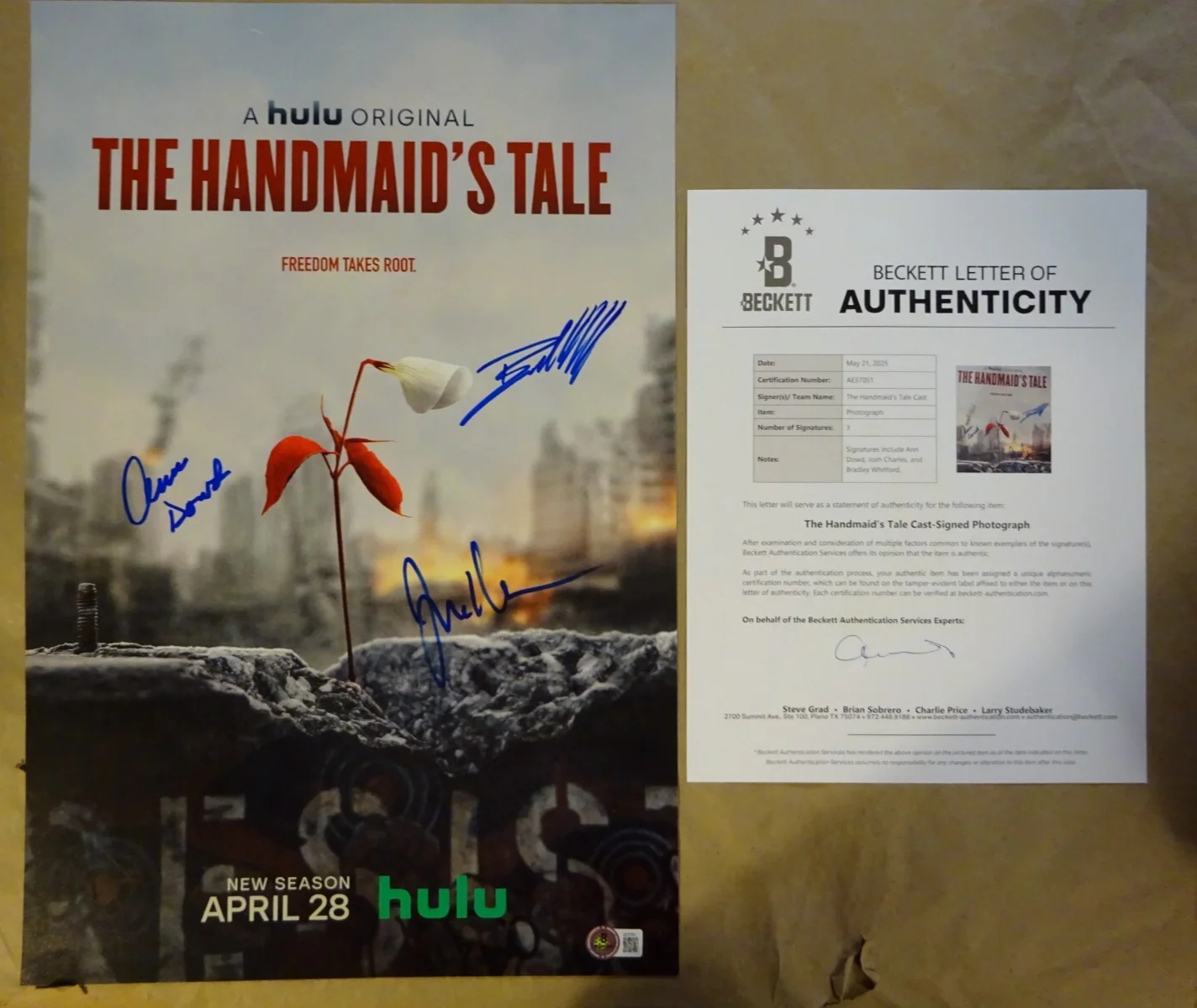 Ann Dowd, Josh Charles, Bradley Whitford — Signed The Handmaid's Tale 12"x18" Photo Autographed By 3 BAS COA