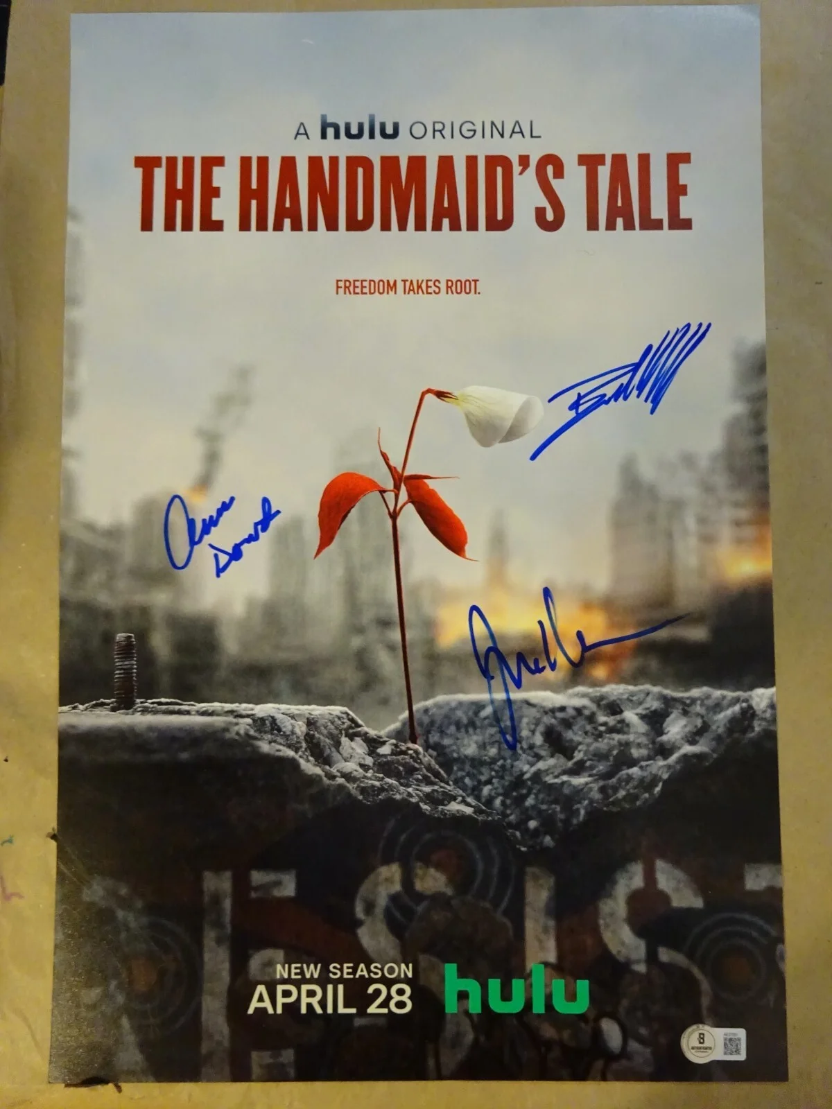 Ann Dowd, Josh Charles, Bradley Whitford — Signed The Handmaid's Tale 12"x18" Photo Autographed By 3 BAS COA, изображение 2