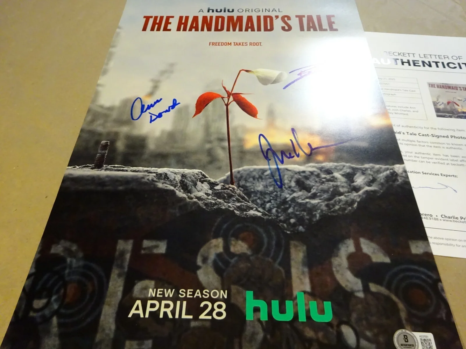 Ann Dowd, Josh Charles, Bradley Whitford — Signed The Handmaid's Tale 12"x18" Photo Autographed By 3 BAS COA, изображение 3