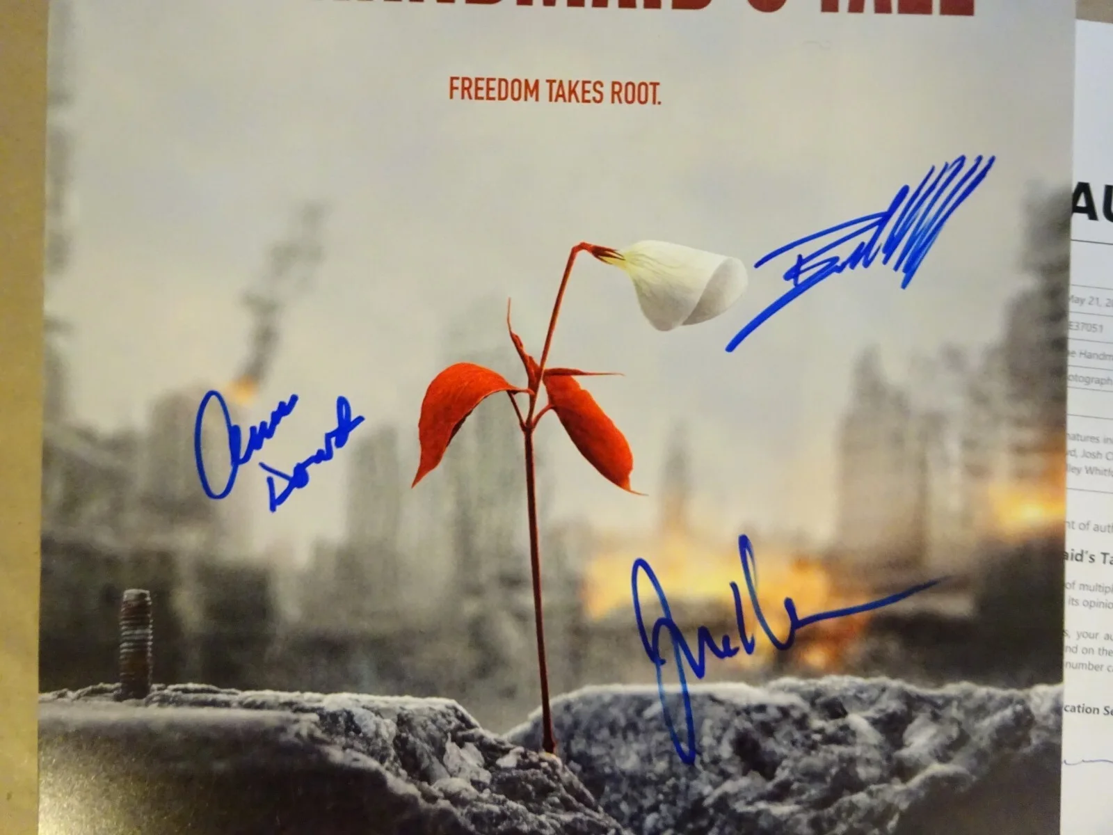 Ann Dowd, Josh Charles, Bradley Whitford — Signed The Handmaid's Tale 12"x18" Photo Autographed By 3 BAS COA, изображение 4