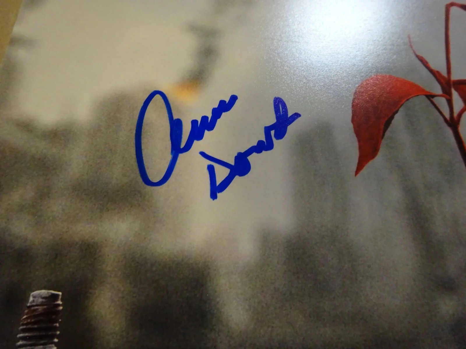 Ann Dowd, Josh Charles, Bradley Whitford — Signed The Handmaid's Tale 12"x18" Photo Autographed By 3 BAS COA, изображение 5