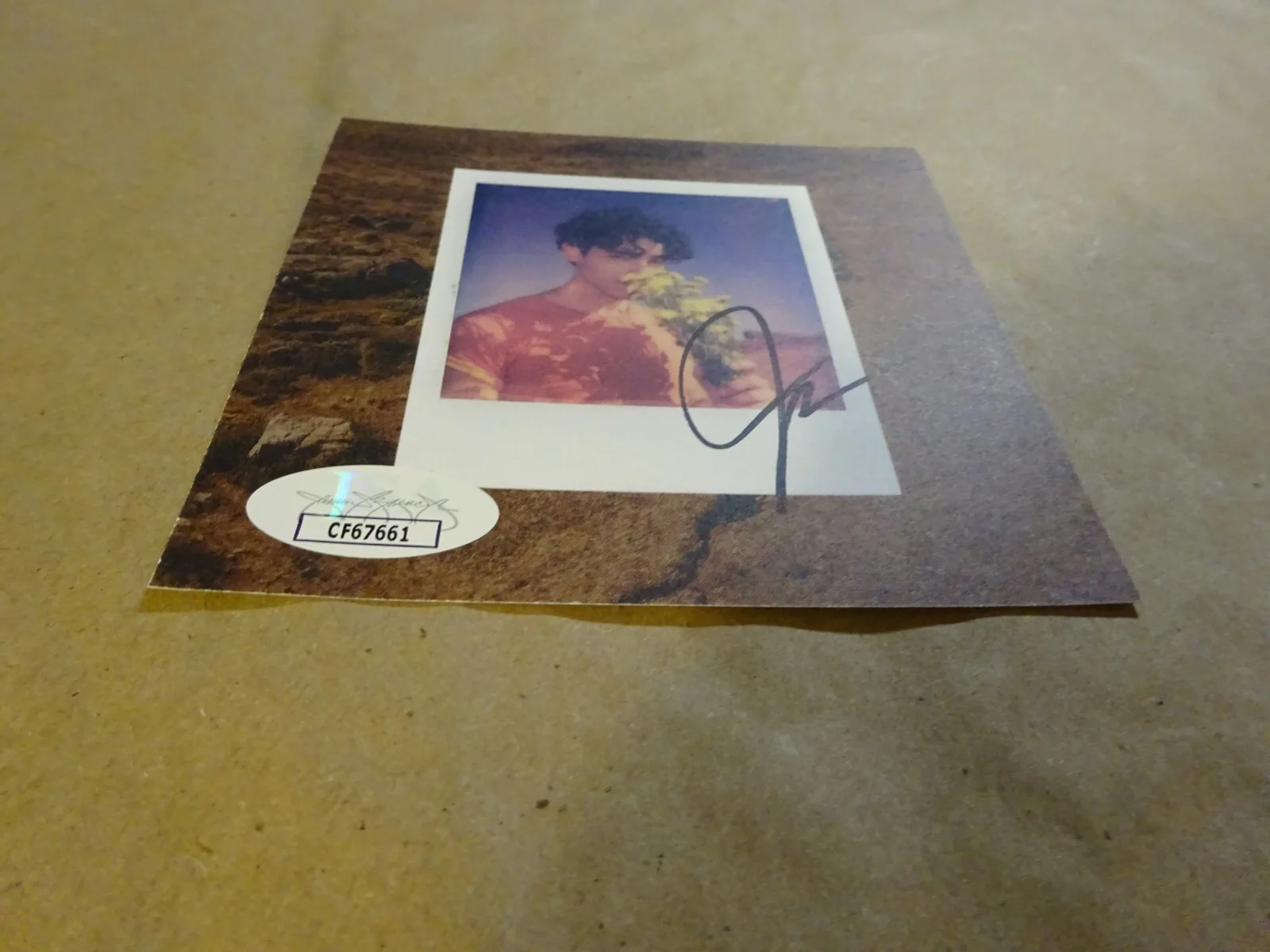 Autographed Joe Jonas Signed CD Insert JSA COA, image 3