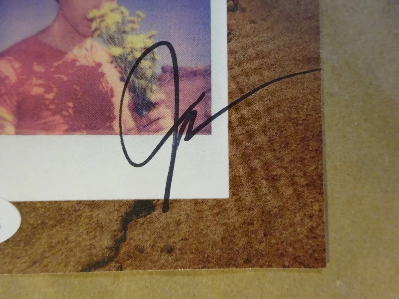 Autographed Joe Jonas Signed CD Insert JSA COA, image 4