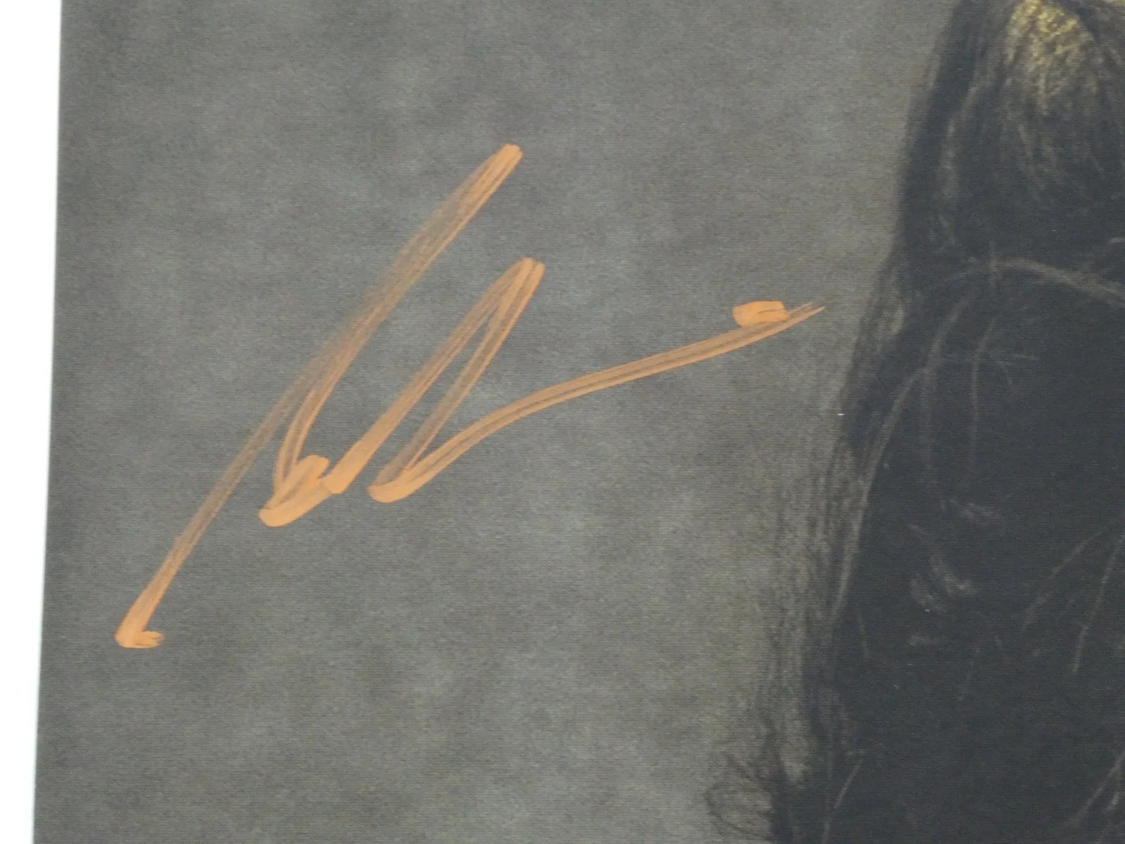 Shania Twain Signed 11x11 2023 Queen Of Me Album Flat Autographed JSA COA, изображение 3