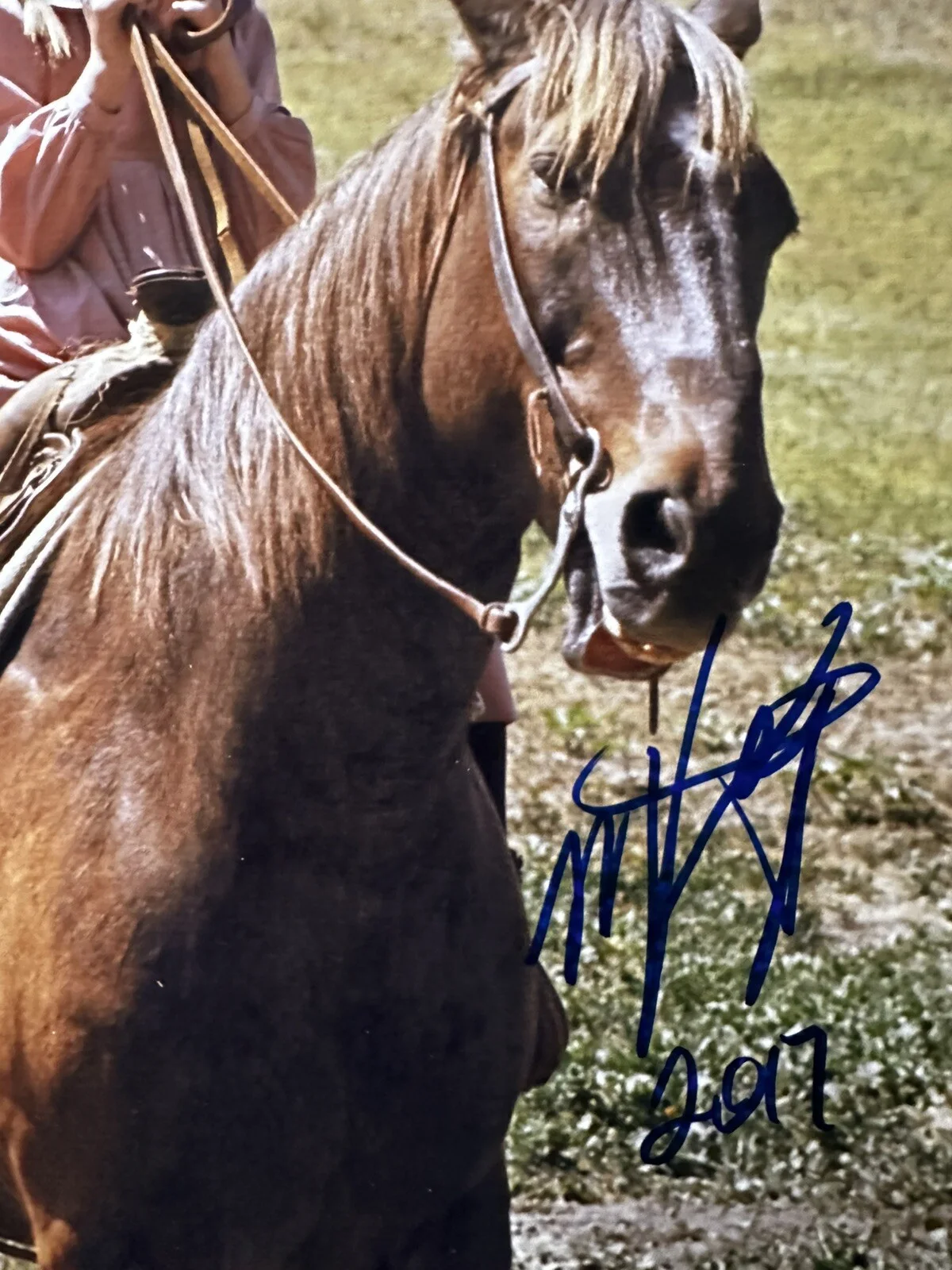 Melissa Gilbert — Melissa Gilbert signed 8x10 photo In Person. “2017” Little House On The Prairie, изображение 2