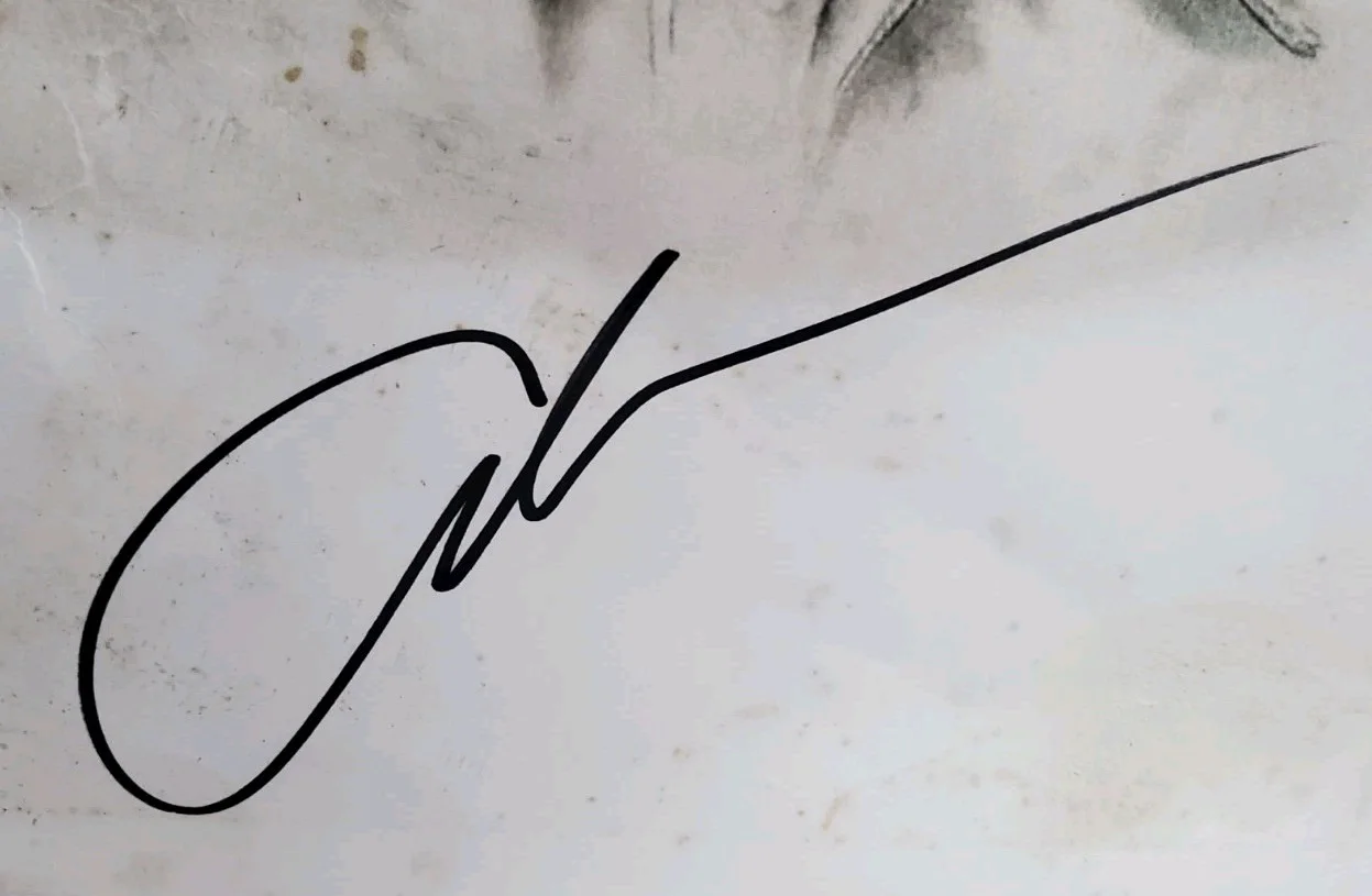 Signed Autographed Alan Jackson 11x17 Poster Photo Music Country JSA COA, изображение 2