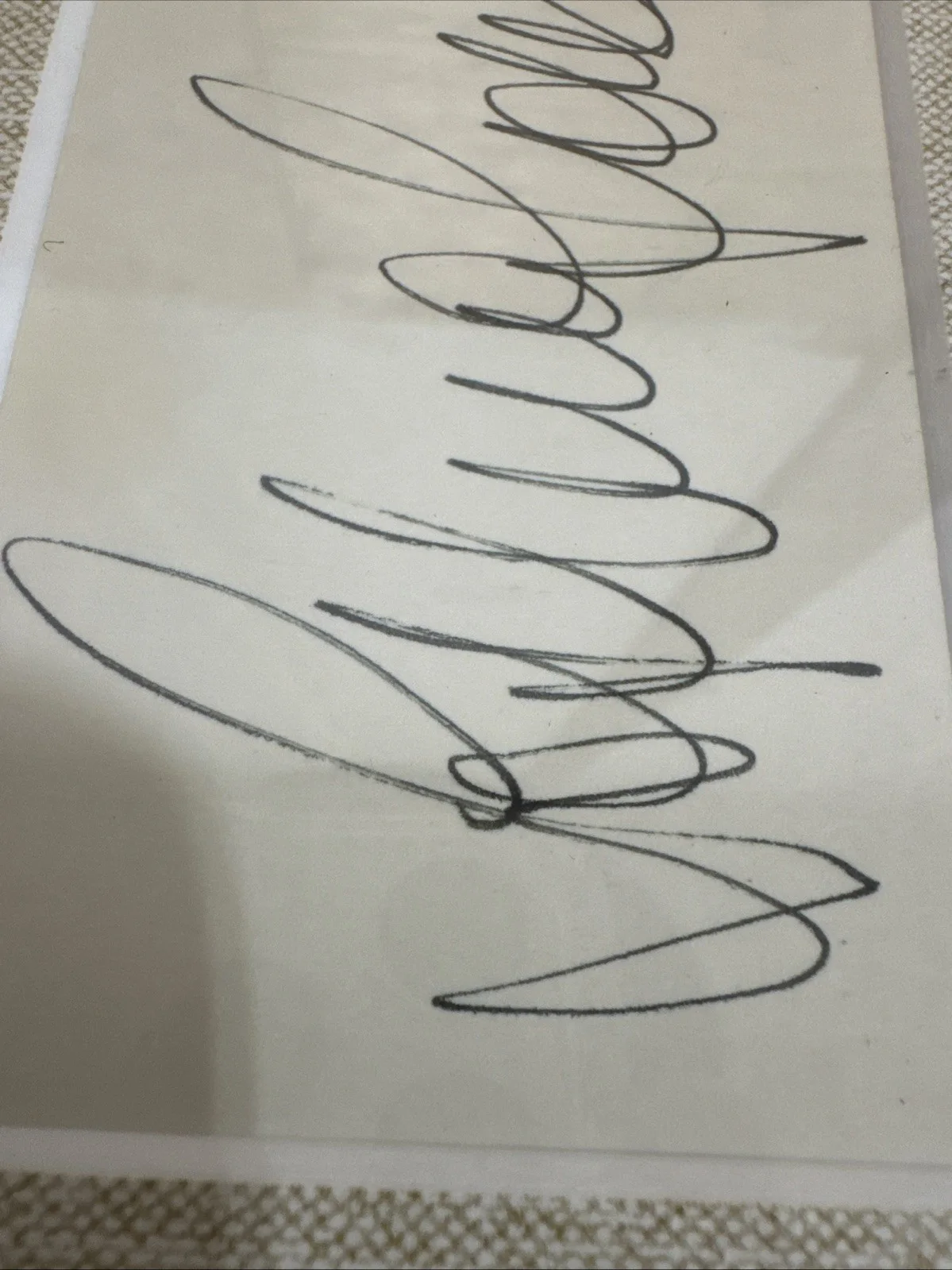 Sophia Loren Autographed Picture Frame 12.5” x 15.75” / B15, image 3