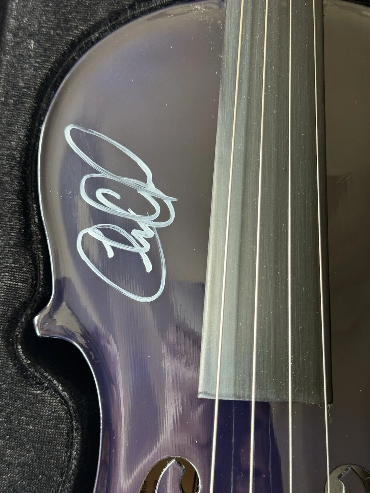 Charlie Daniel's Autographed American Flag Fiddle (NRA) with CD & case (READ), изображение 4