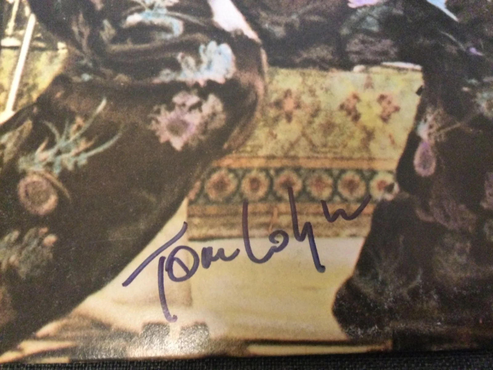 Nils Lofgren - Signed - Night After Night 1977 2LP Record A&M 3707 - Nils & Tom, изображение 3