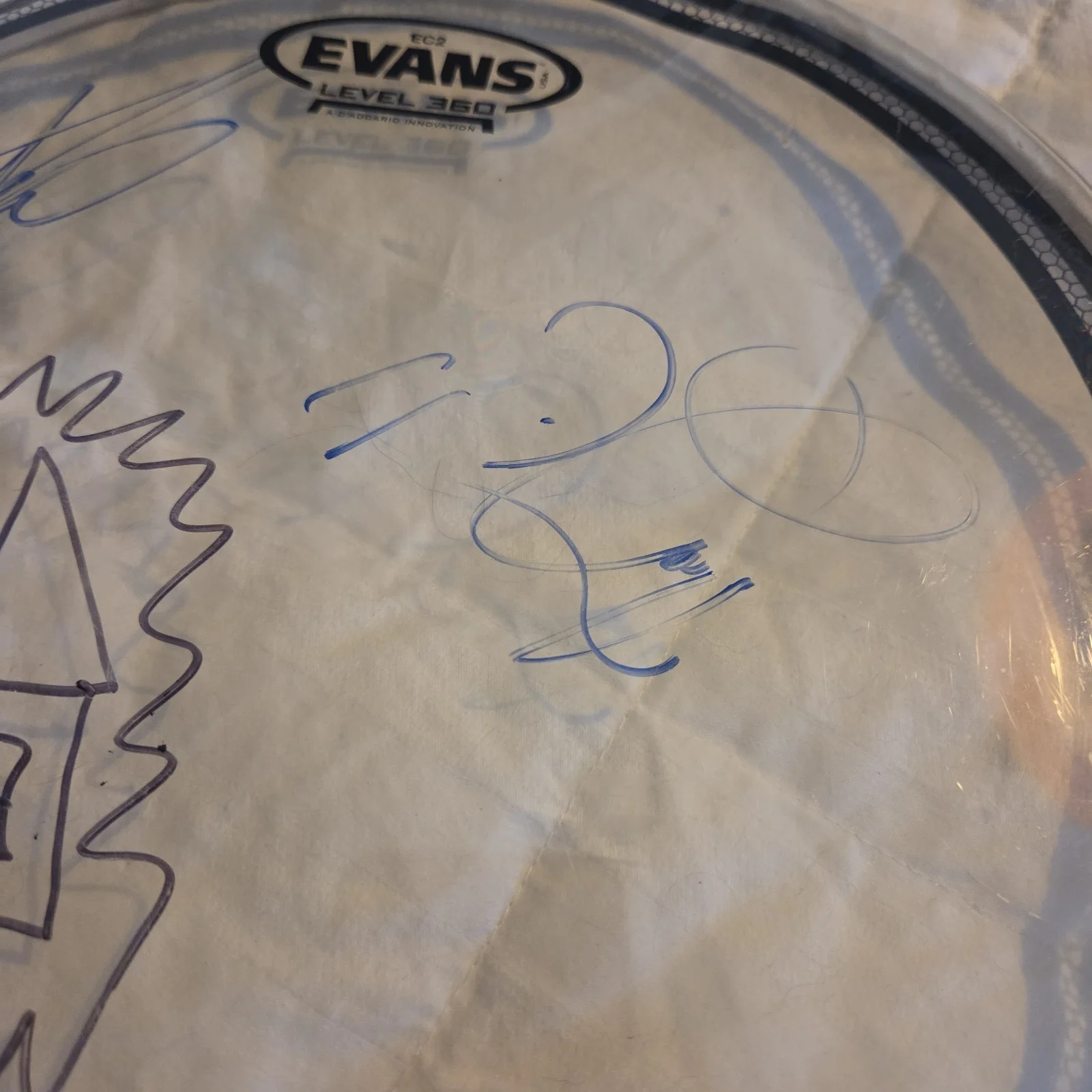Crown The Empire Signed Drumhead, изображение 4