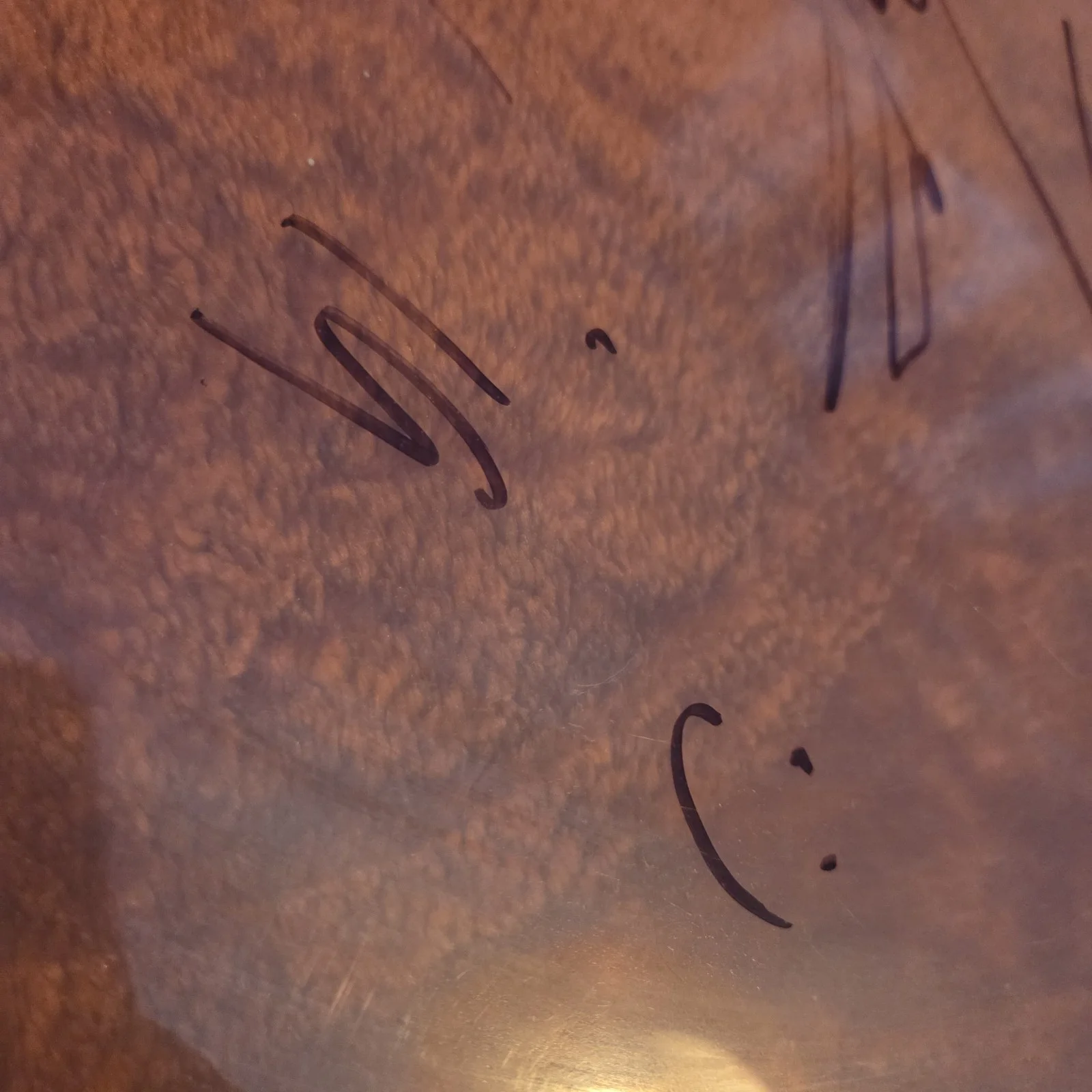Korn Signed REMO Weatherking Ambassador Drumhead, image 3