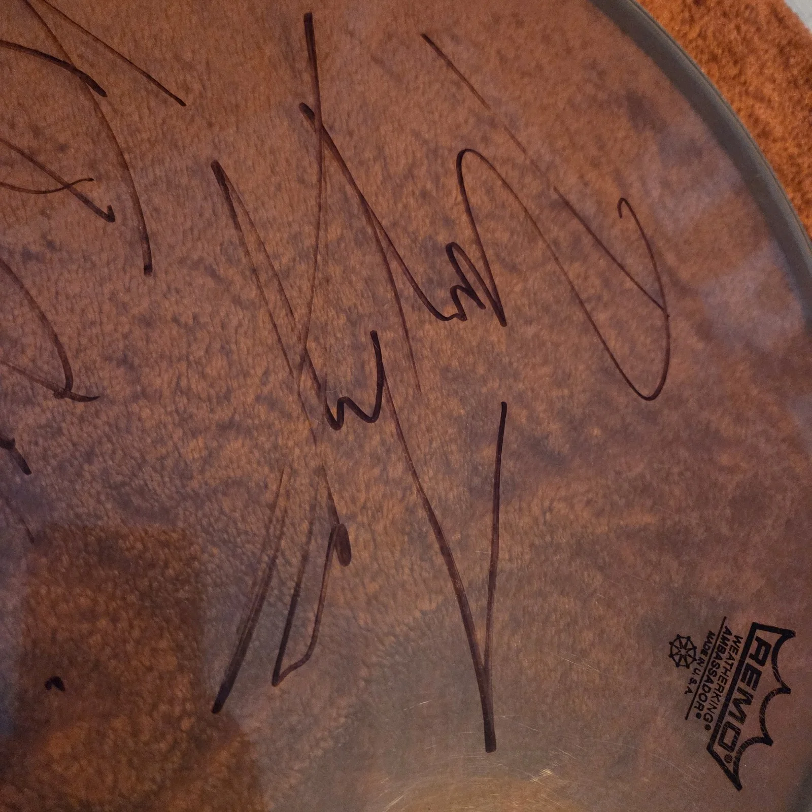 Korn Signed REMO Weatherking Ambassador Drumhead, image 5