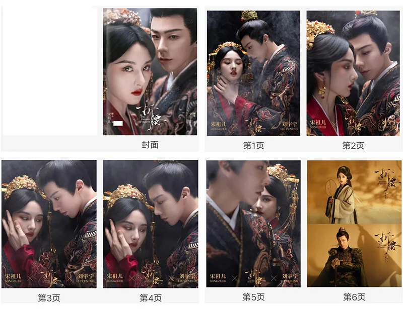 Chinese The Prisoner of Beauty Pictures Book Album Photo Books, изображение 2
