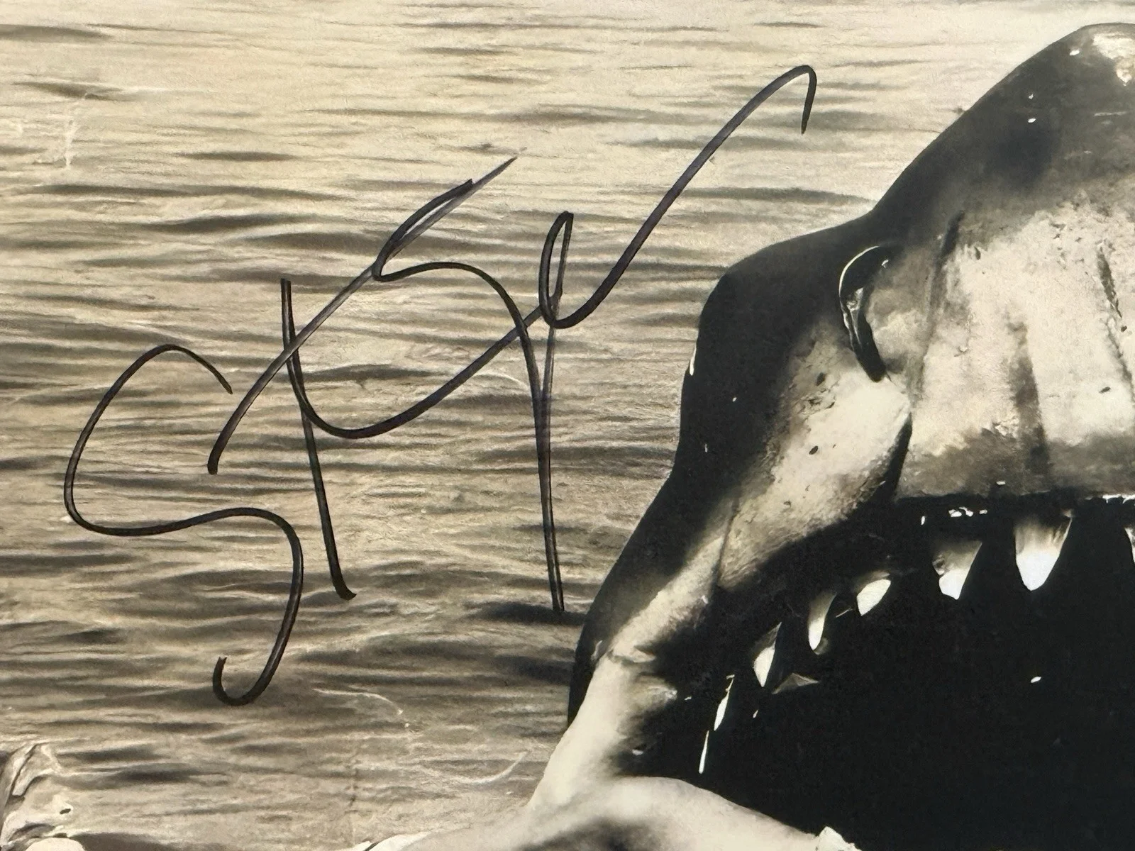 Steven Spielberg — Steven Spielberg Signed 16x20 JAWS Behind The scenes, image 2