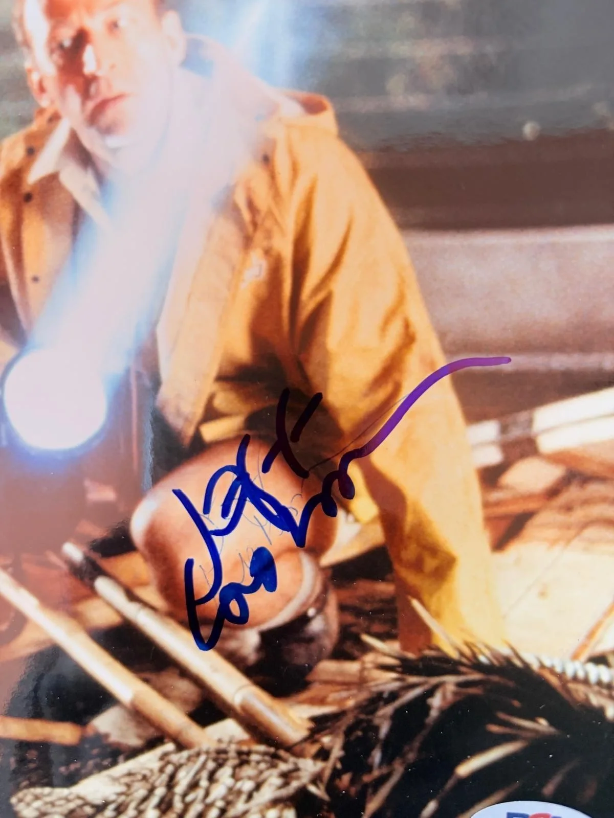 LAURA DERN, JEFF GOLDBLUM — LAURA DERN JEFF GOLDBLUM SIGNED AUTOGRAPHED 8X10 PHOTO JURASSIC PARK VINTAGE PSA, изображение 3
