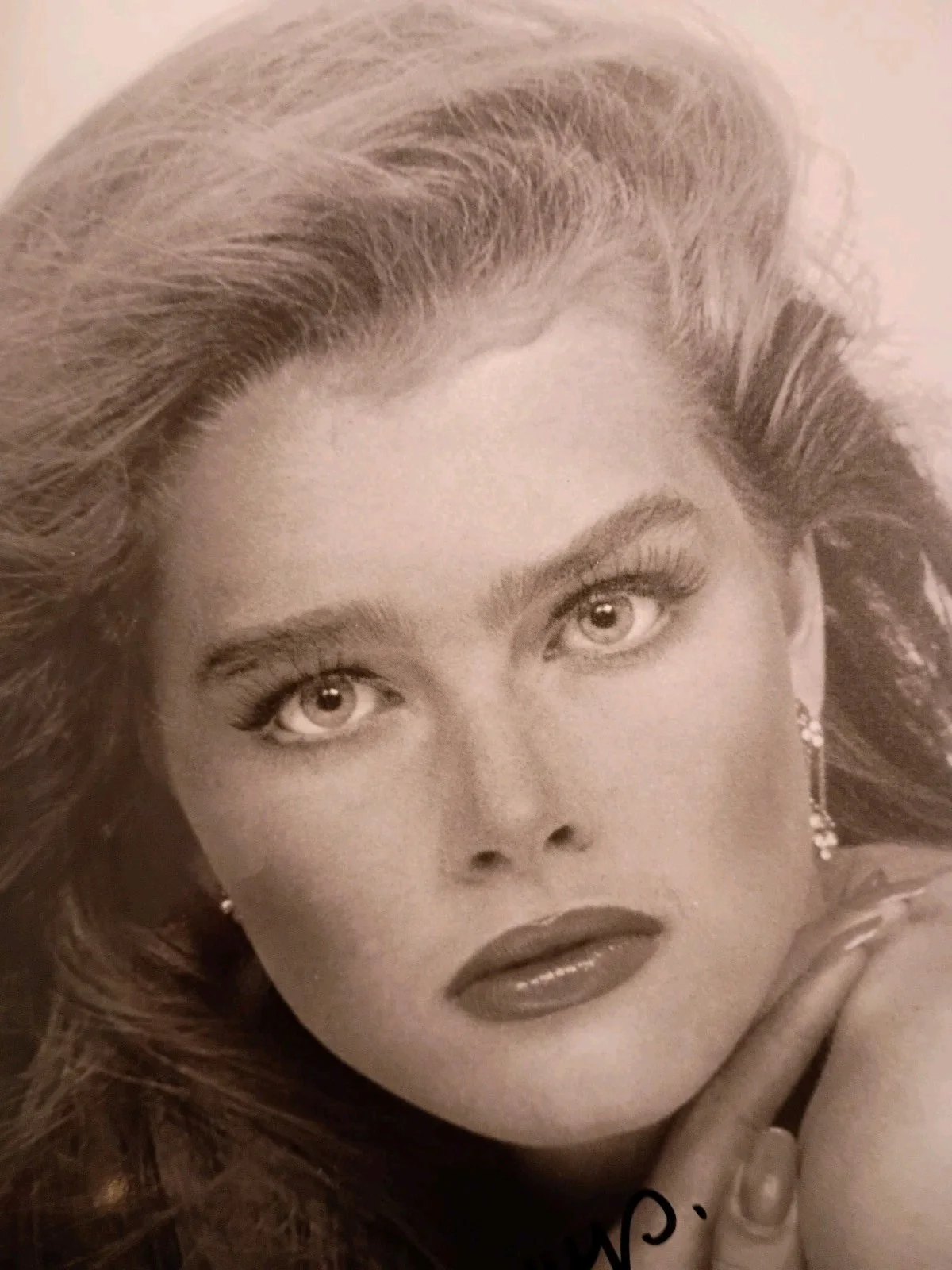 Brooke Shields — BROOKE SHIELDS Signed Autographed YOUNG 8x10 Photo..Acting LEGEND....Mueller COA, изображение 2
