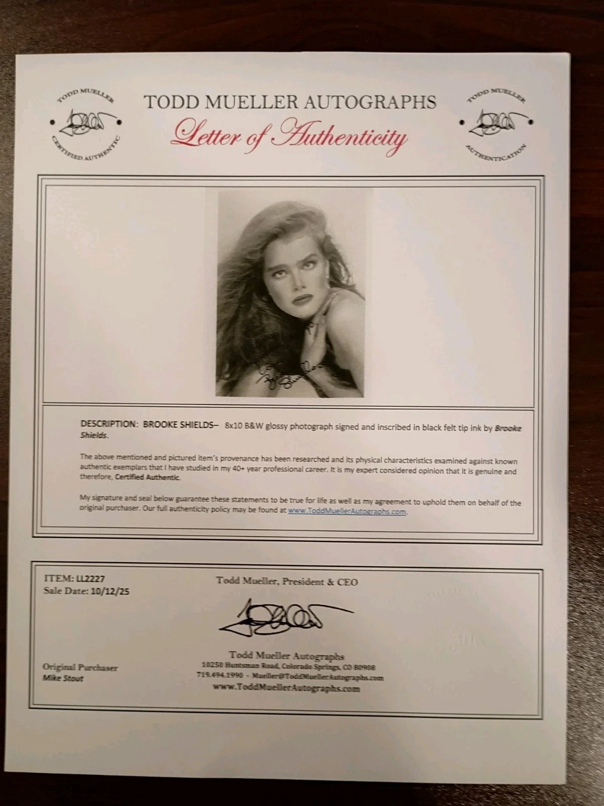 Brooke Shields — BROOKE SHIELDS Signed Autographed YOUNG 8x10 Photo..Acting LEGEND....Mueller COA, изображение 5