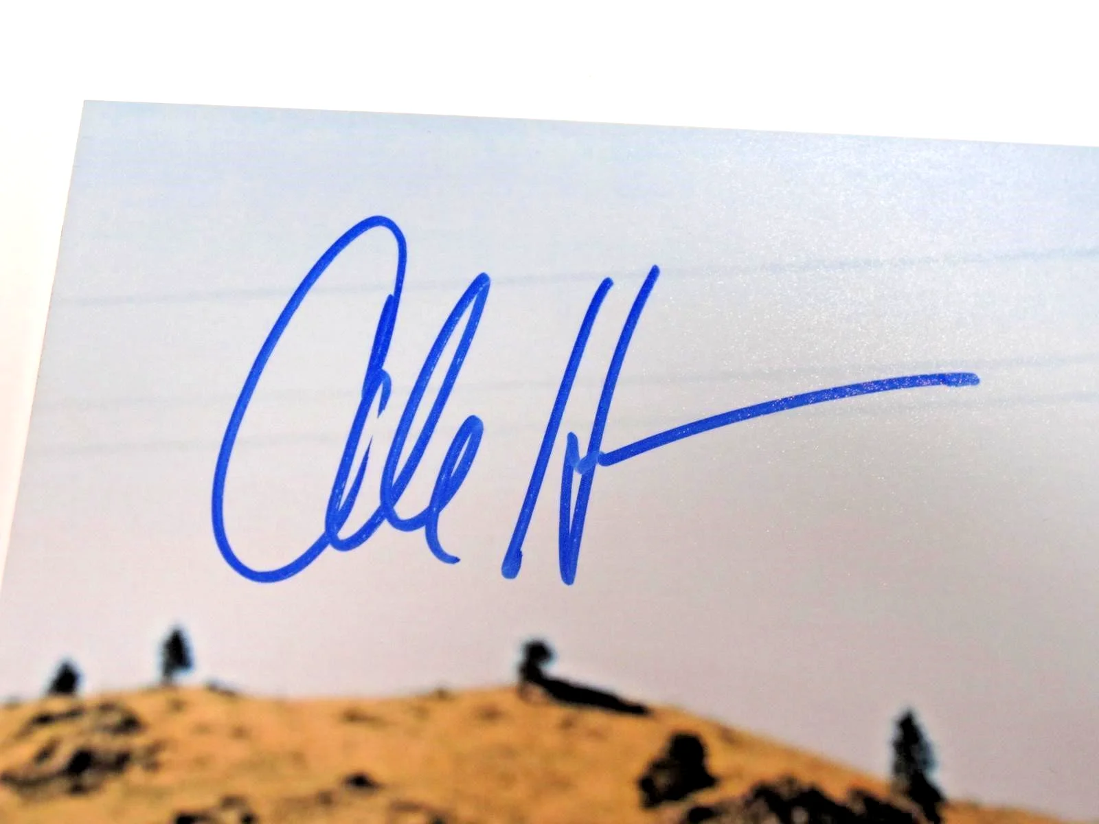 COLE HAUSER Hand Signed Photo 8x10 WHEELER YELLOWSTONE w/COA (TSA) + FAST SHIP!, image 2