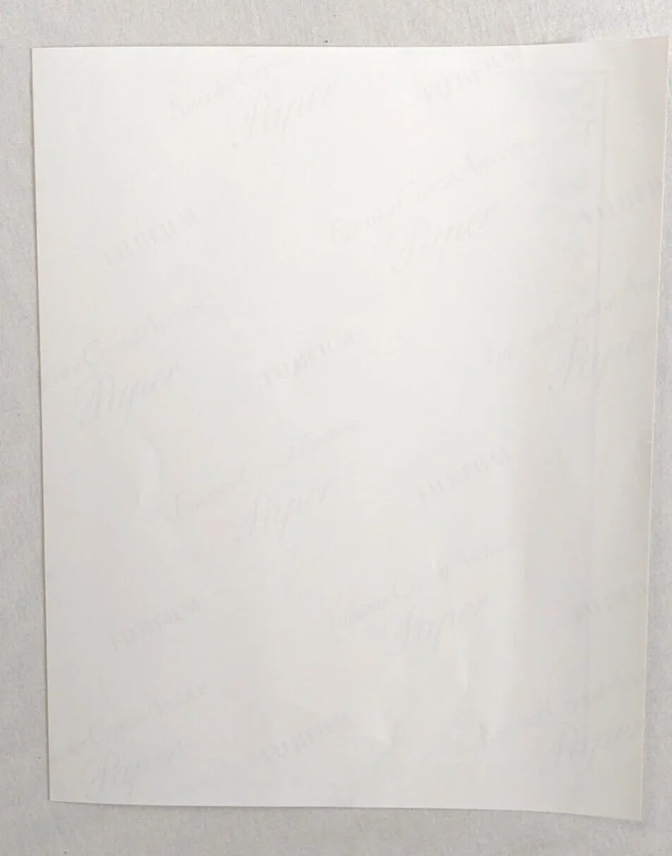 Chriselle Almeida — Chriselle Almeida Signed 8x10 Photo Personalized Big Bang Theory, изображение 3