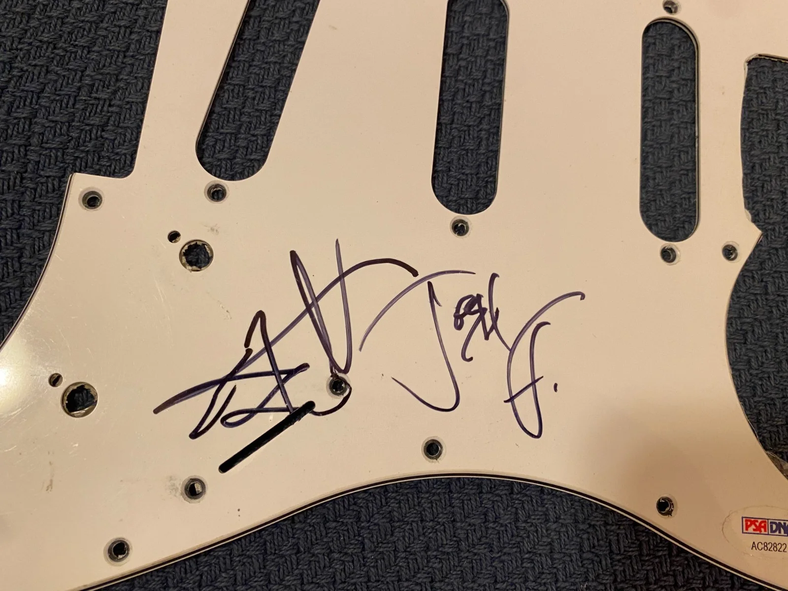 Eric Wilson Sublime Josh Freese Vandals PSA Signed Autographed Guitar Pickguard, image 3