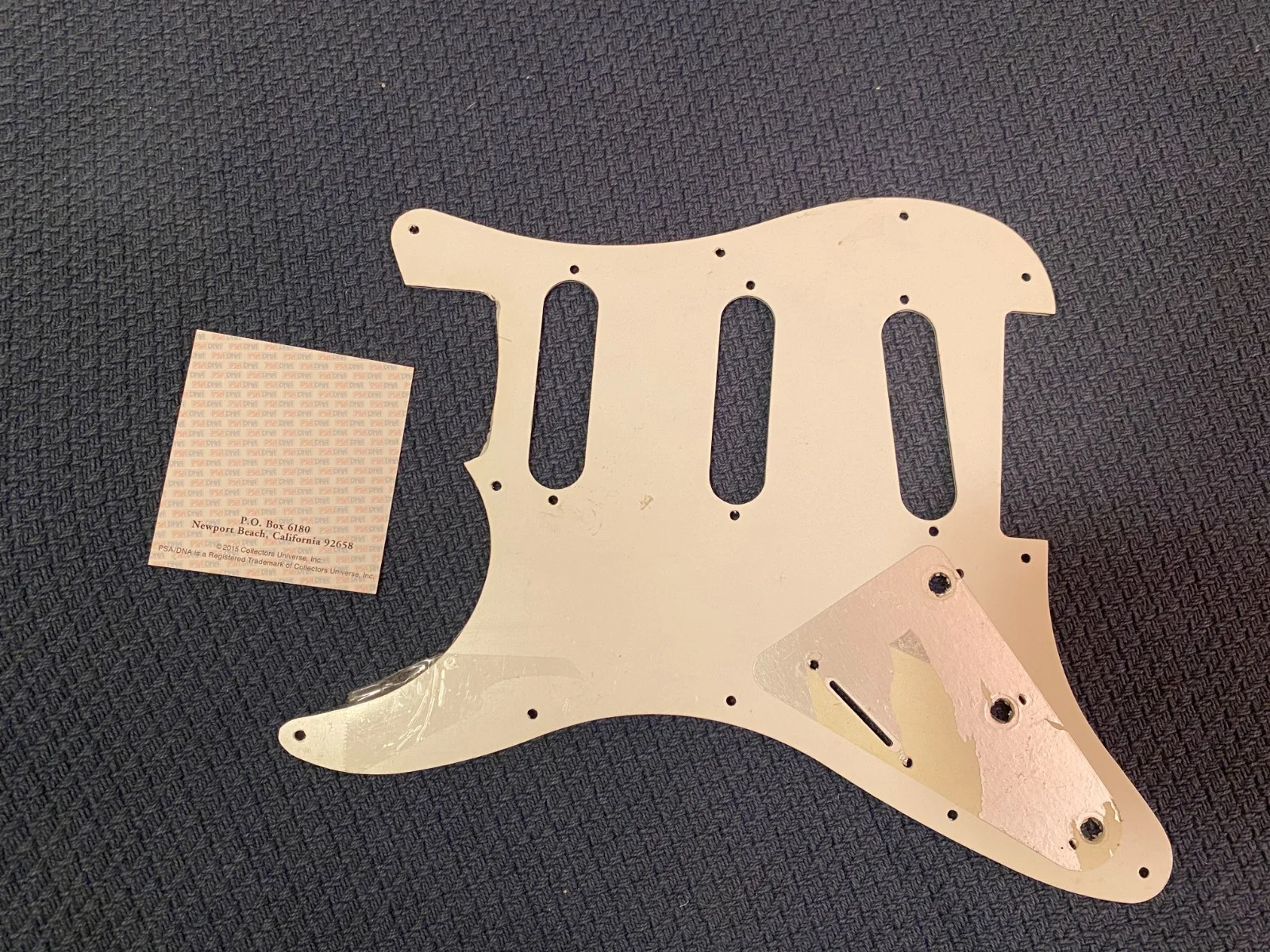 Eric Wilson Sublime Josh Freese Vandals PSA Signed Autographed Guitar Pickguard, image 4